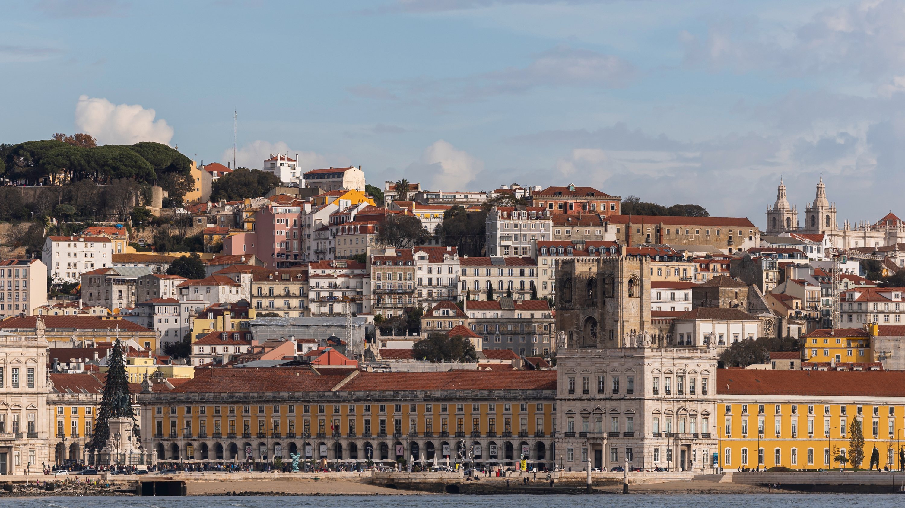 Nas regiões da Beira Litoral, Algarve, Lisboa e Setúbal, começam a detetar-se no ar os primeiros grãos de pólen provenientes da oliveira