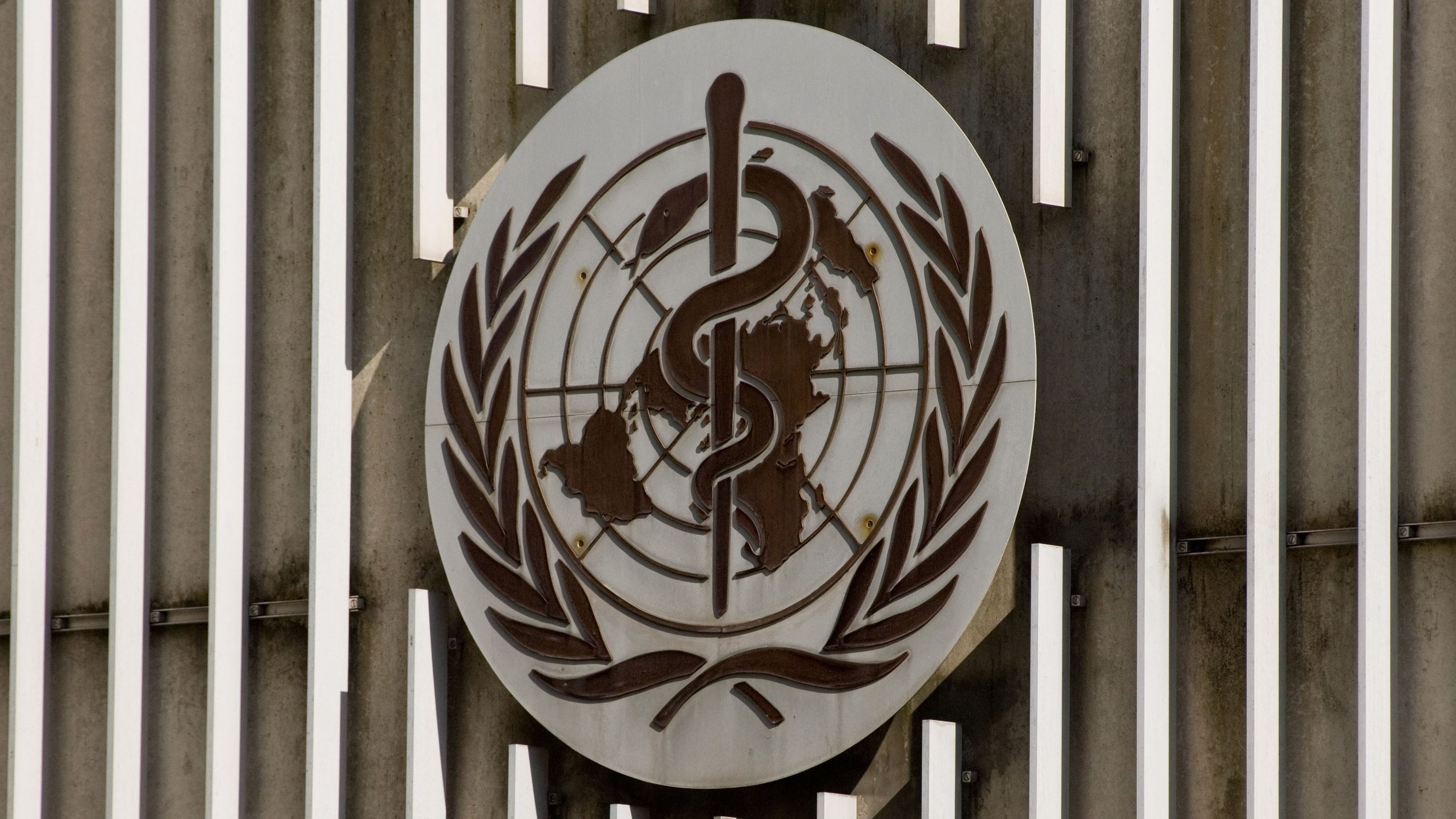 General Views Of The World Health Organization