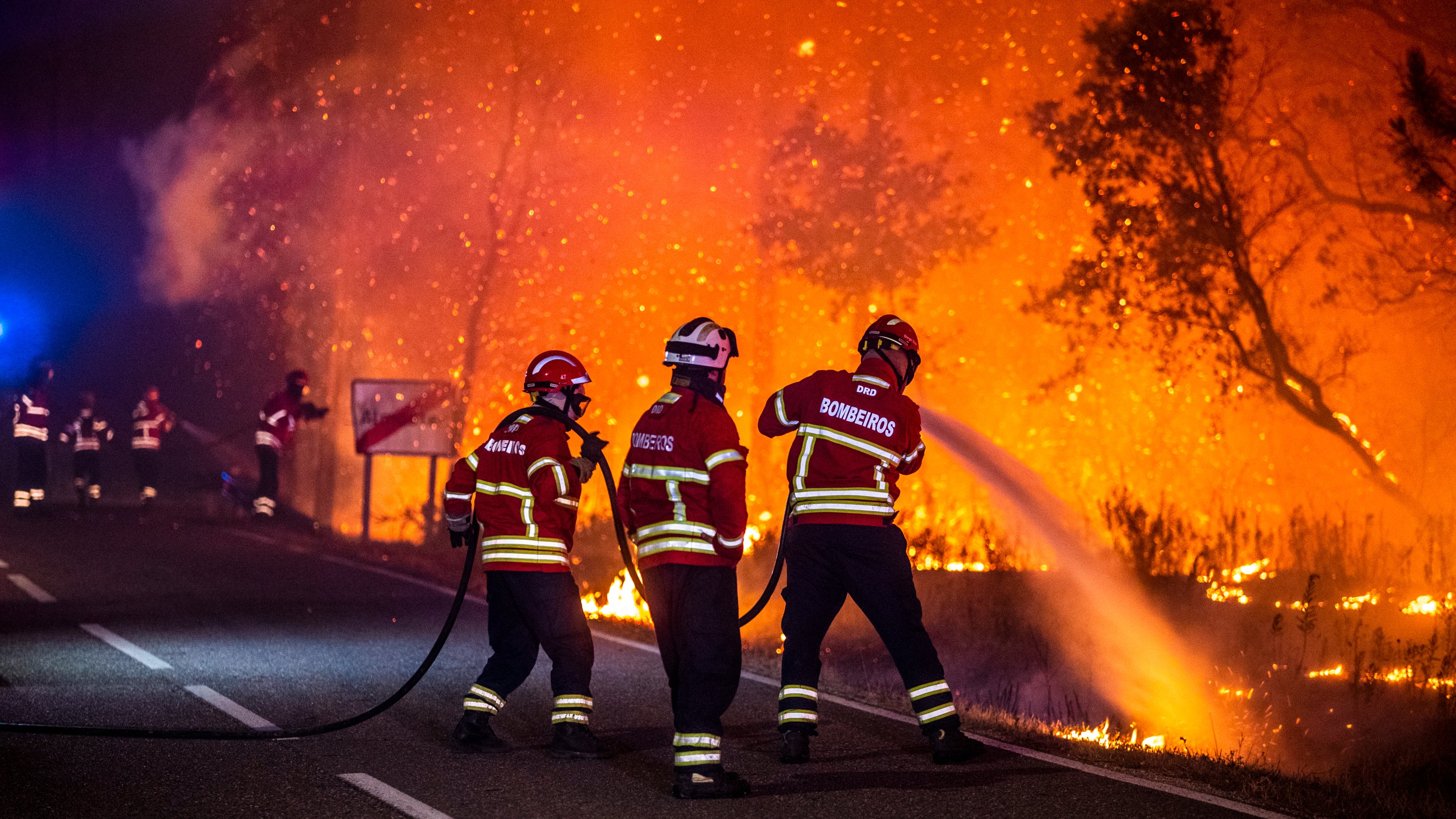 O incêndio lavrou cerca de 2.875 hectares de terreno florestal causando um prejuízo patrimonial na ordem dos 3,8 milhões de euros