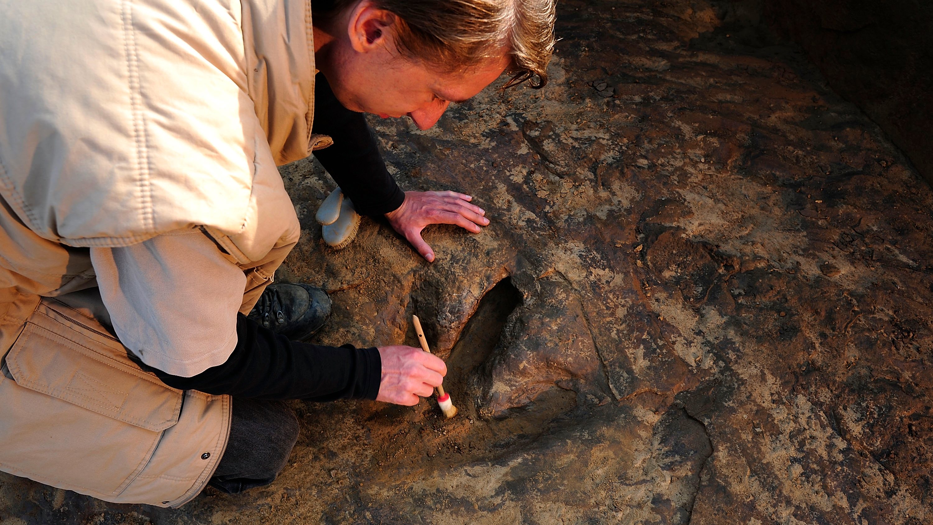 Archaeologists Discover 90 Dinosaur Footprints