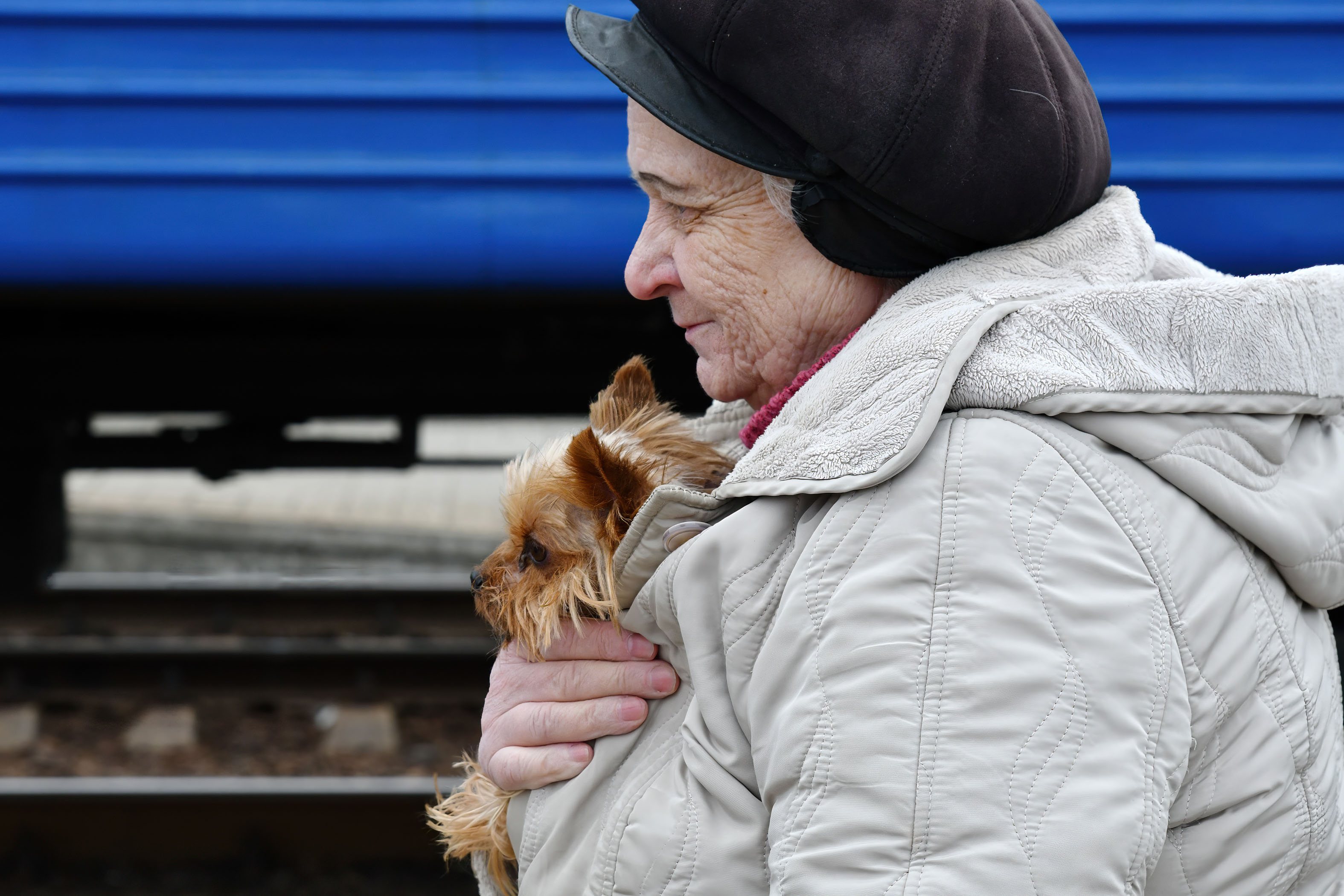 Uma mulher com o seu cão na fuga de Donetsk
