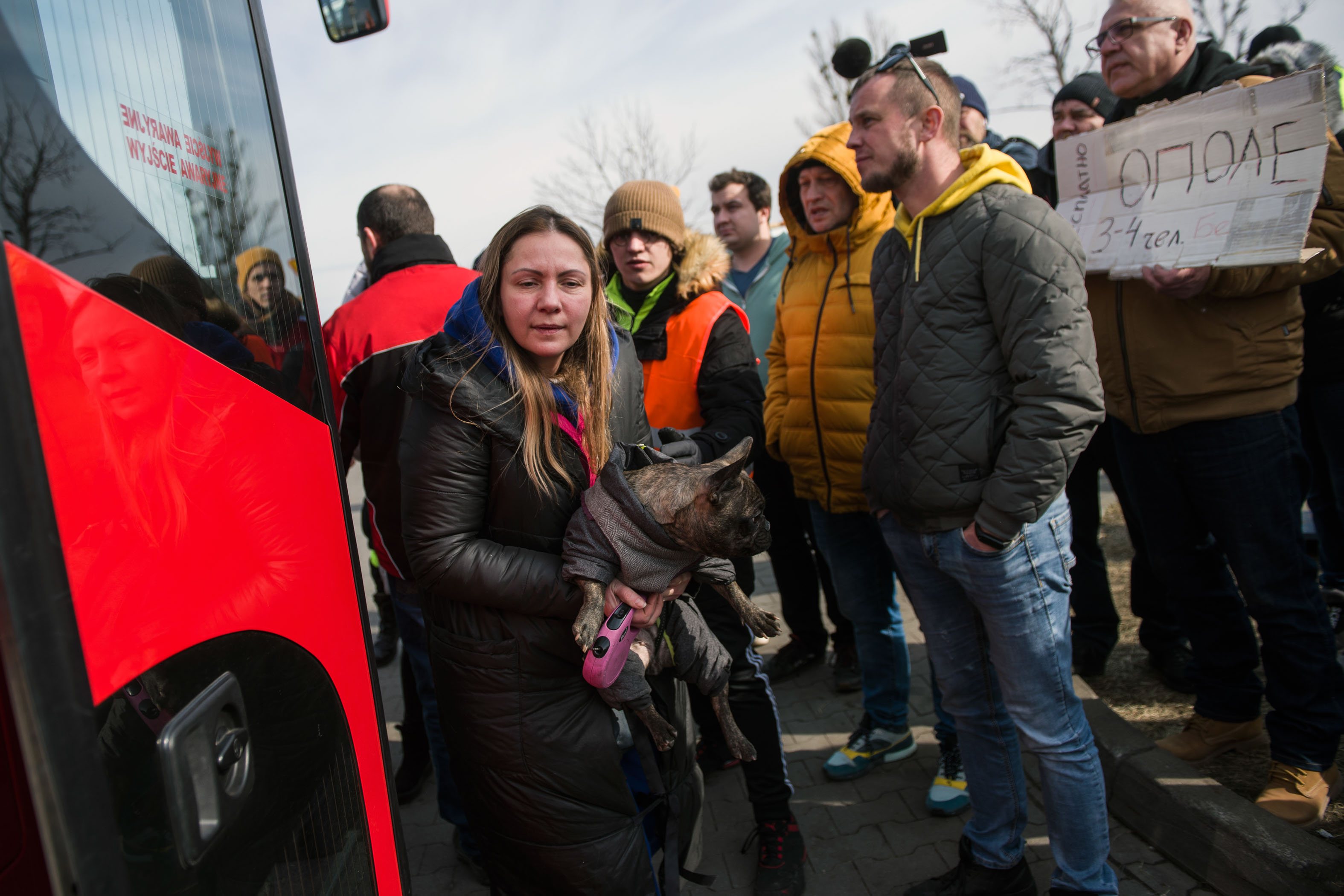 Com a invasão da Ucrânia, as pessoas estão a levar os seus animais de estimação consigo para os abrigos subterrâneos dos bombardeamentos ou para fora do país