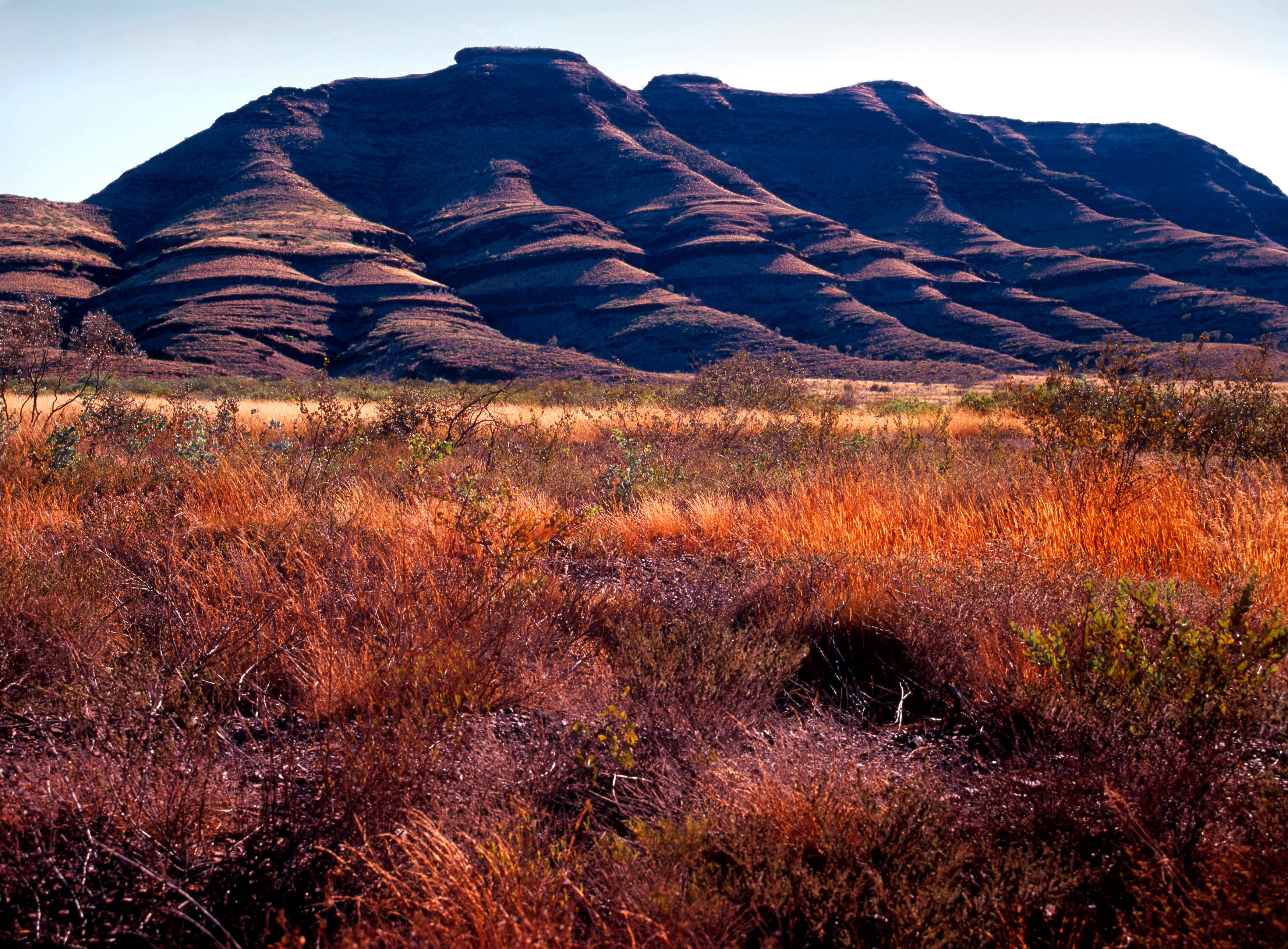 Western Australia - the Hamersley Ranges and dense bush seen from Wittenoom, Karijini national park, Pilbara