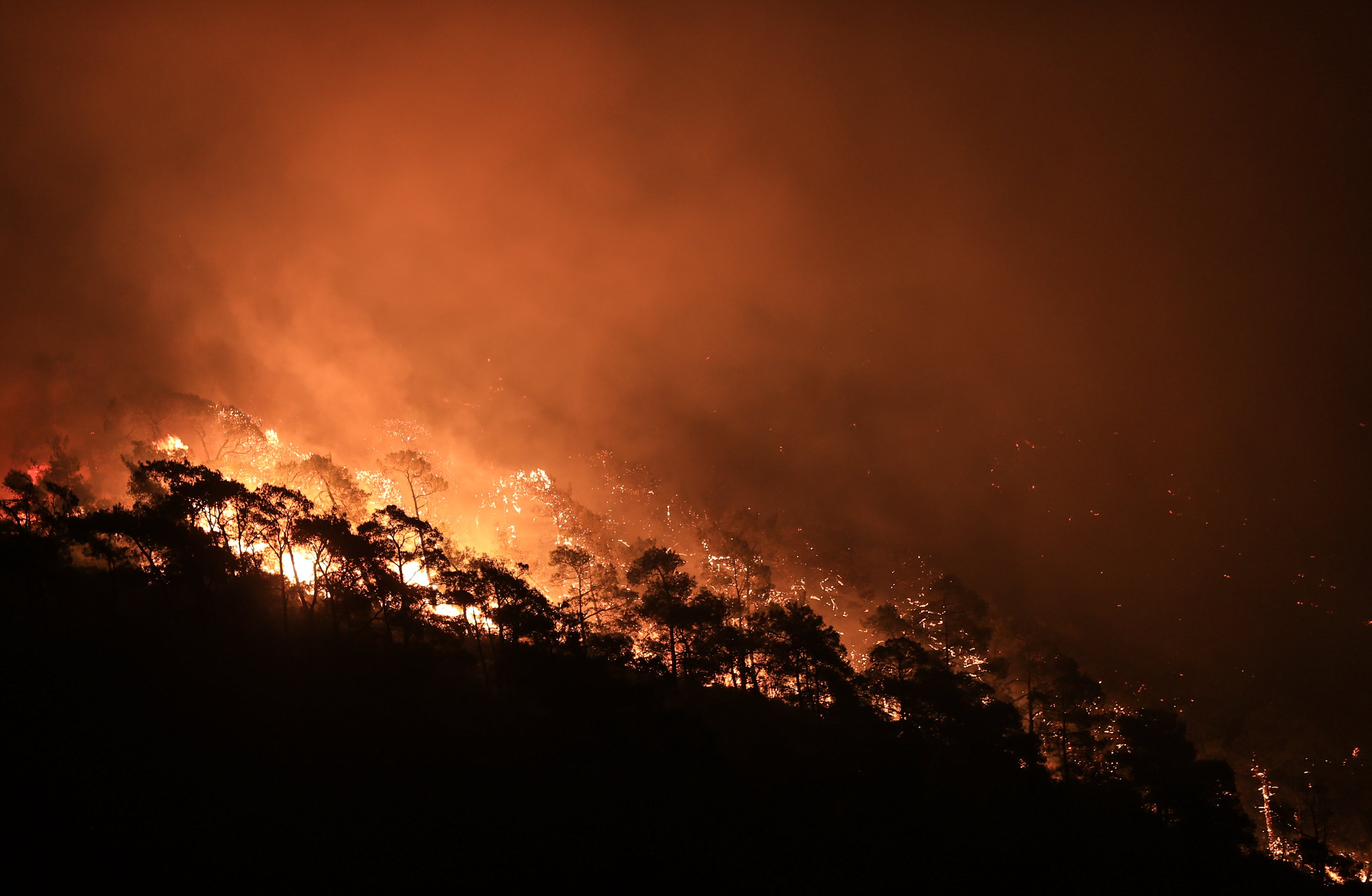 Forest fire in Turkey&#039;s Mugla