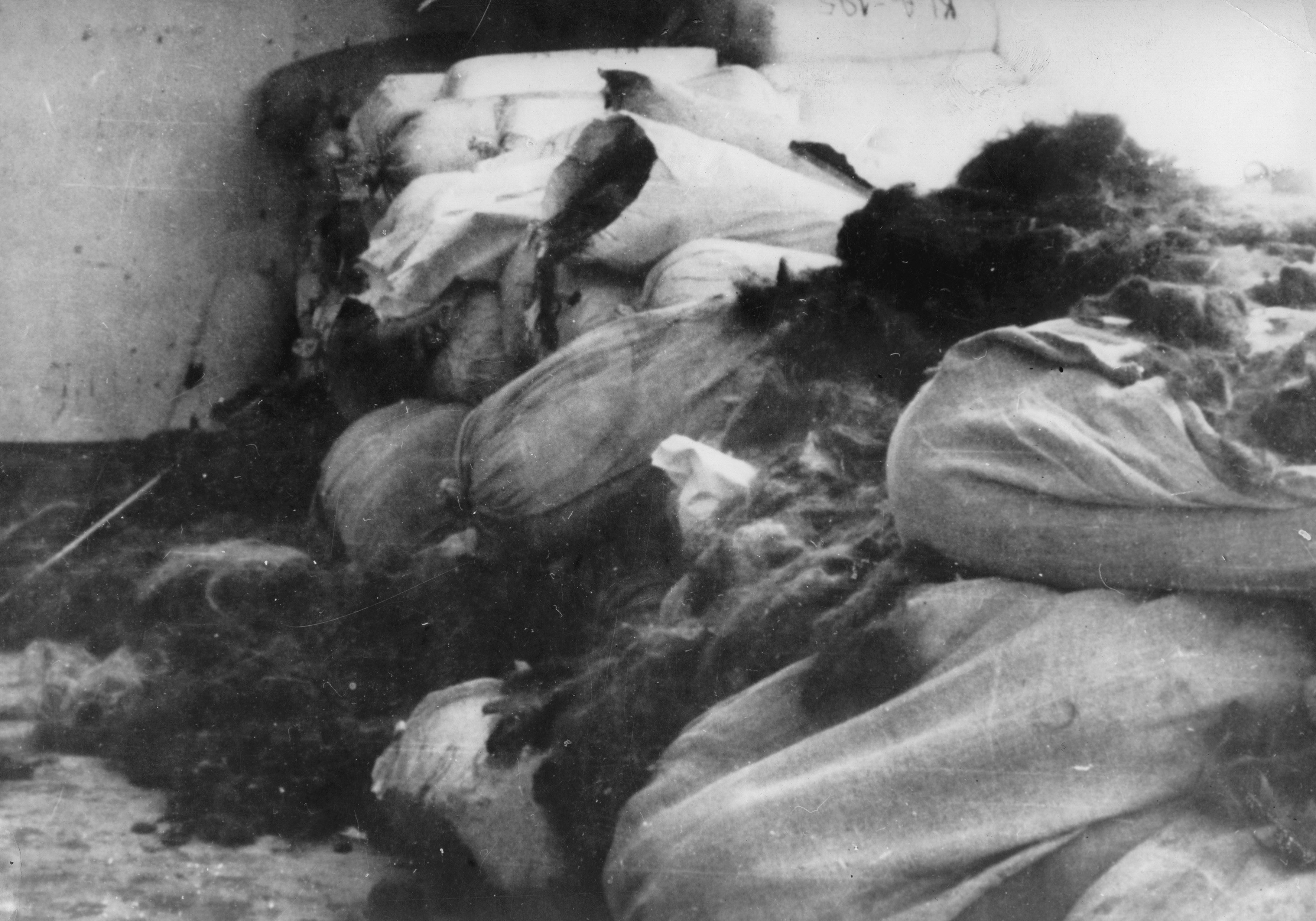 Cabelo dos judeus mortos, em Auschwitz
