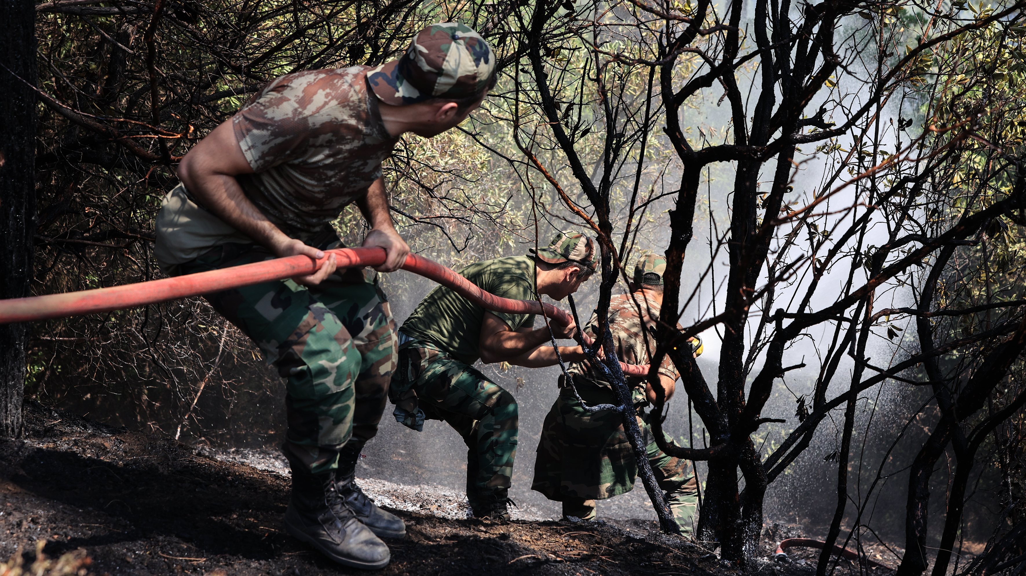 Forest fire in Turkey&#039;s Marmaris