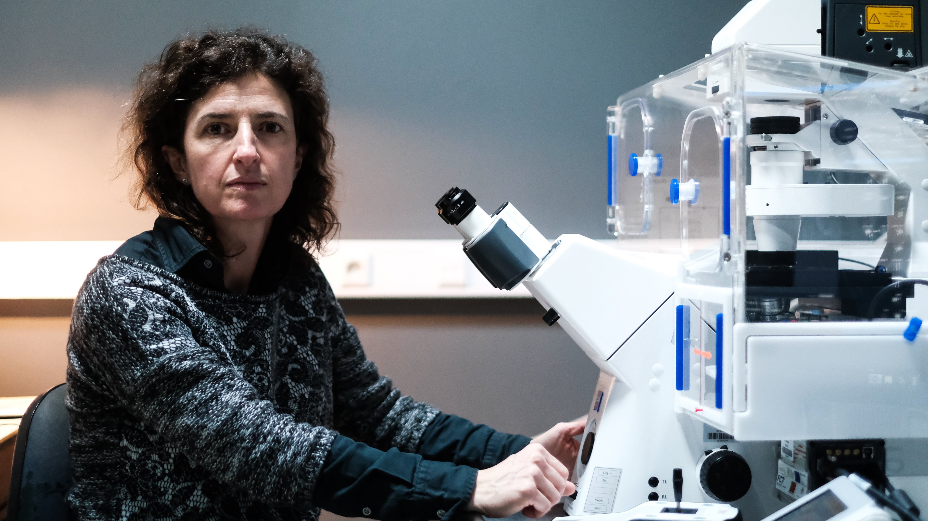 Investigadora, professora e vice-presidente do CNC, Ana Luísa Carvalho é licenciada em Bioquímica pela Universidade de Coimbra, fez investigação na Faculdade de Medicina da Universidade Johns Hopkins, nos EUA, e trabalhou na University of British Columbia, no Canadá
