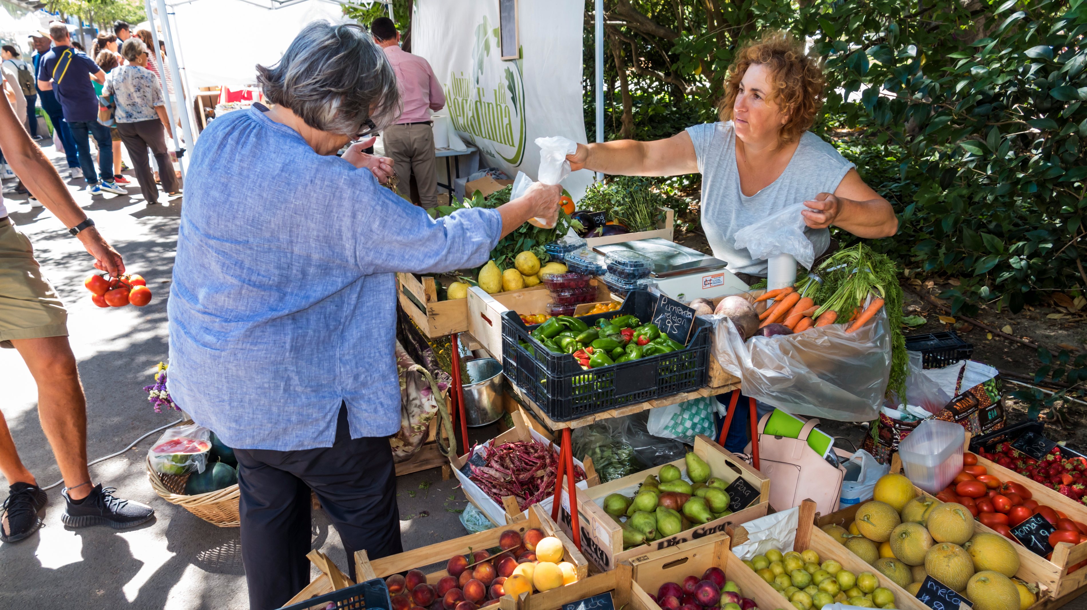 Portugal, Lisbon, Bairro Alto, Jardim do Principe Real, park vendor booth offering fresh produce