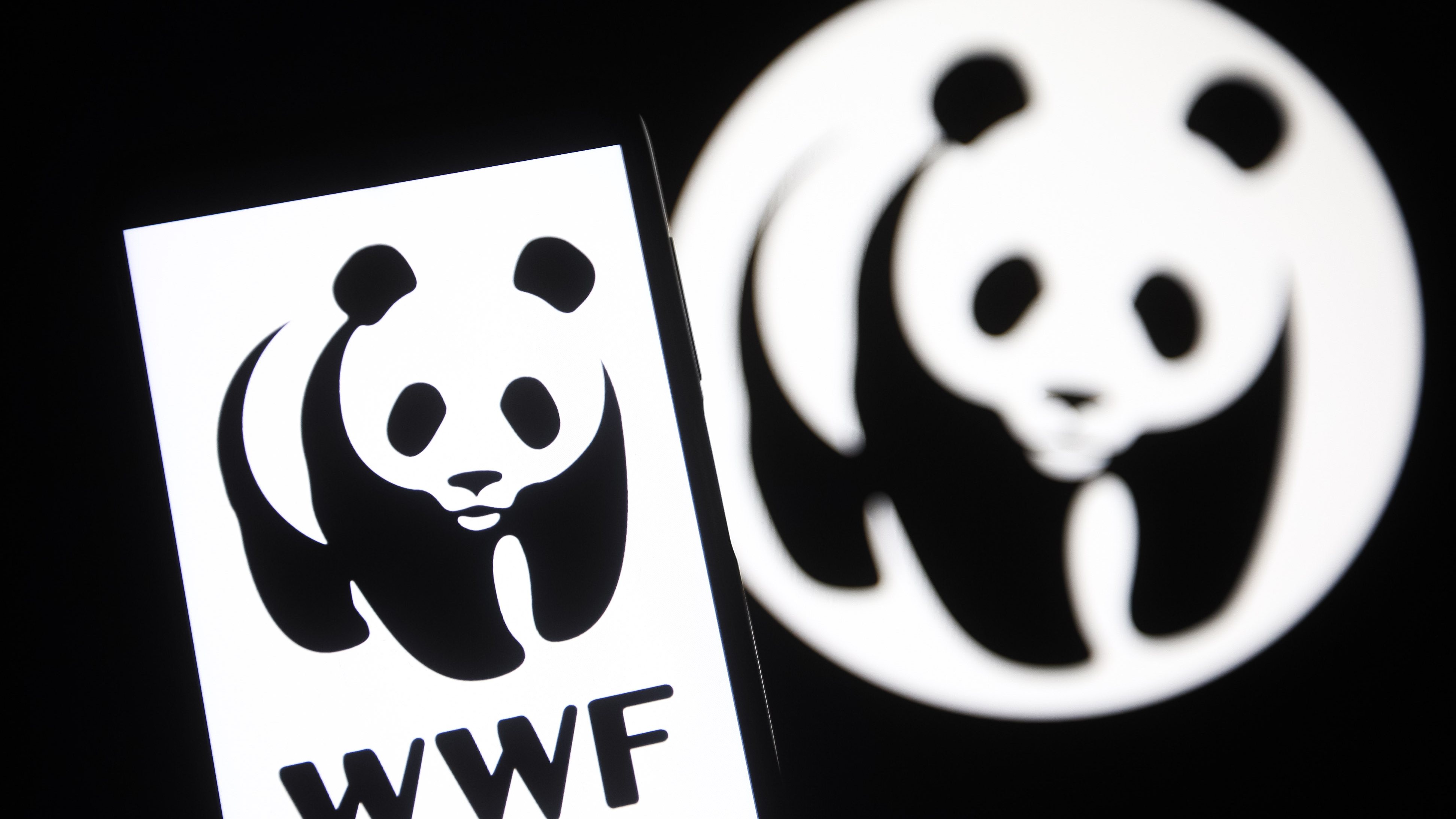 WWF Logótipo