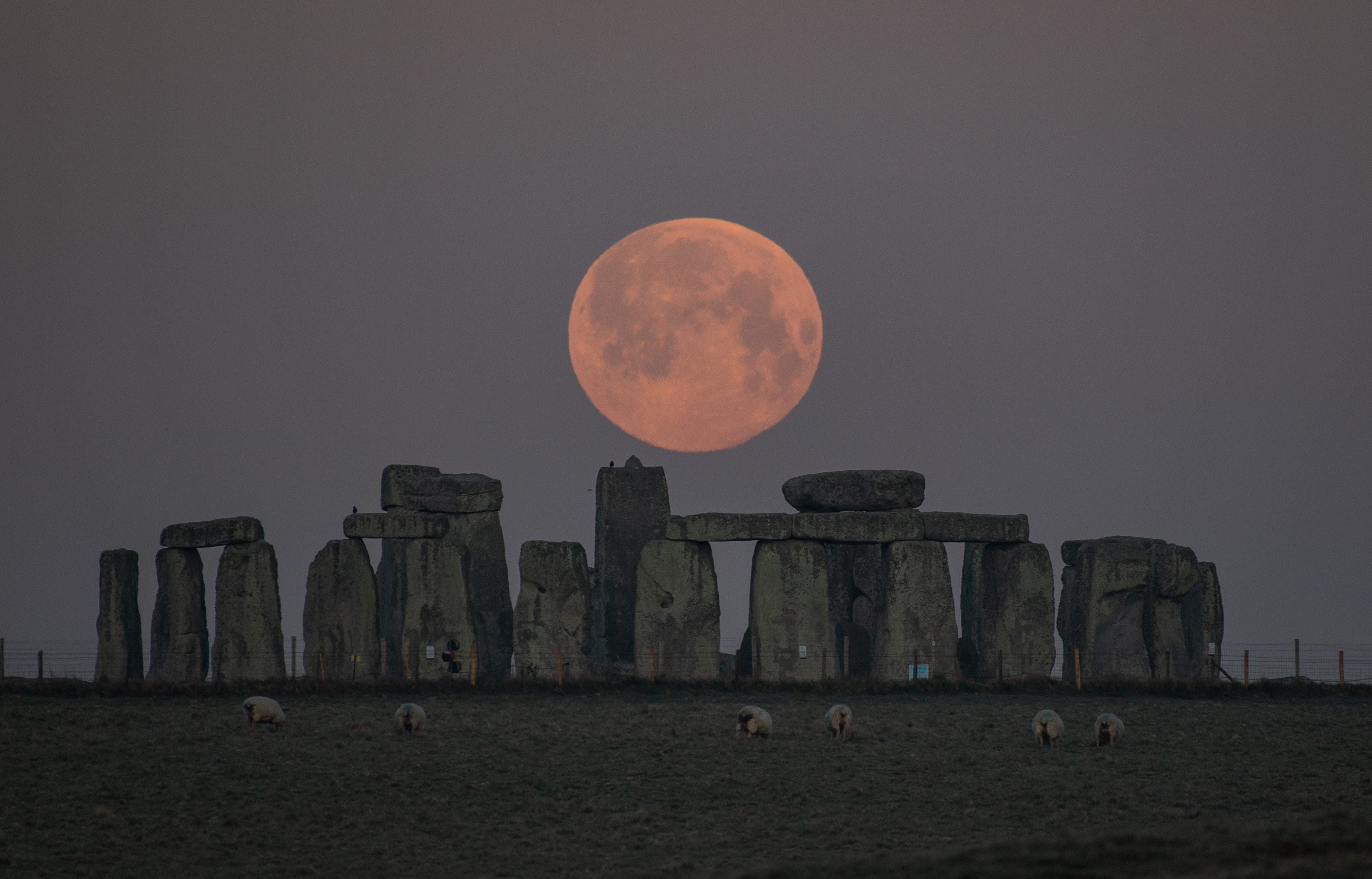 Pink Supermoon Lights Up April Skies In The UK
