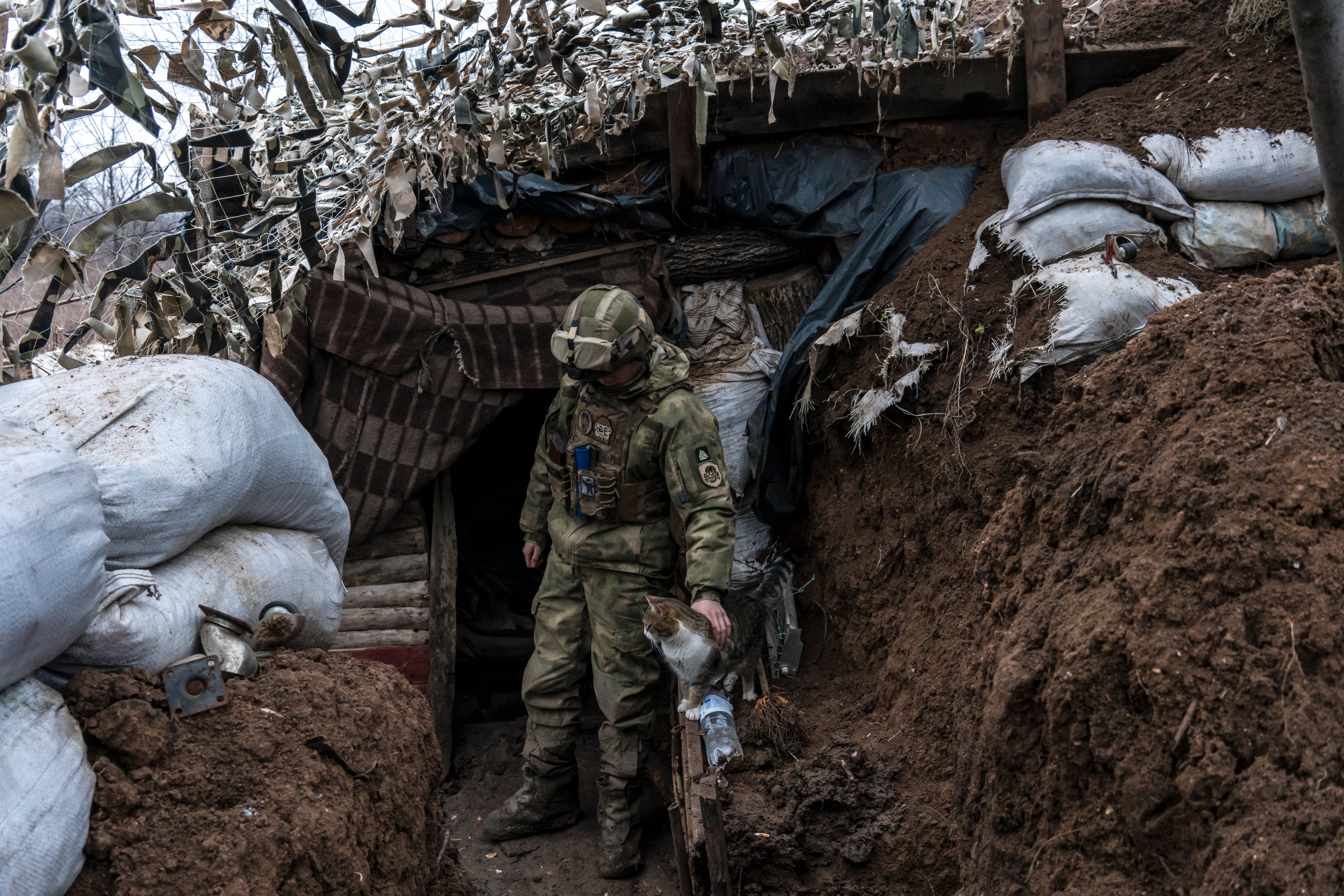 Soldados ucranianos com os seus &quot;companheiros de estimação&quot; na zona de Donbas, na Ucrânia, que tem sido disputada com tropas separatistas