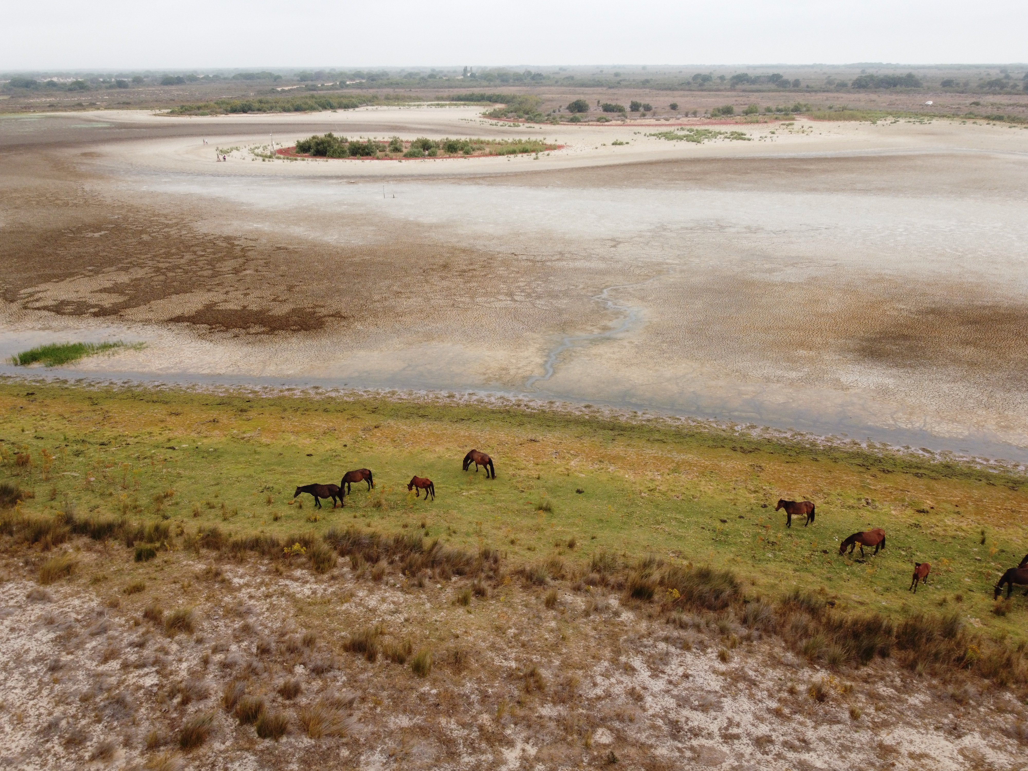 Lagoa de Santa Olalla seca, no Parque Nacional de Doñana