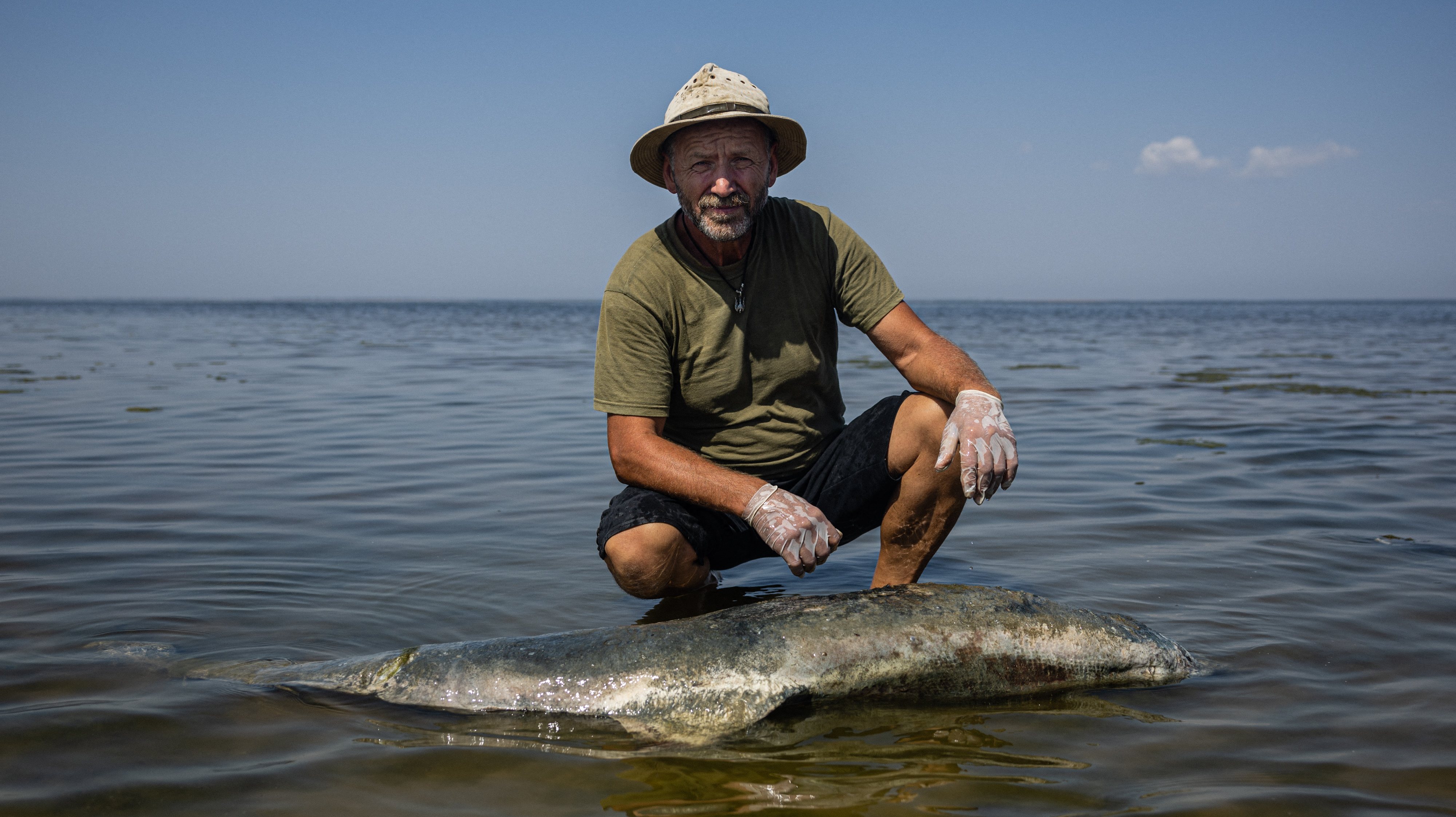 Scientist Ivan Roussev examines a dead dolphin at the Limans Tuzly Lagoons National Nature Park, near the village of Prymorske on August 28, 2022, amid the Russian invasion of Ukraine