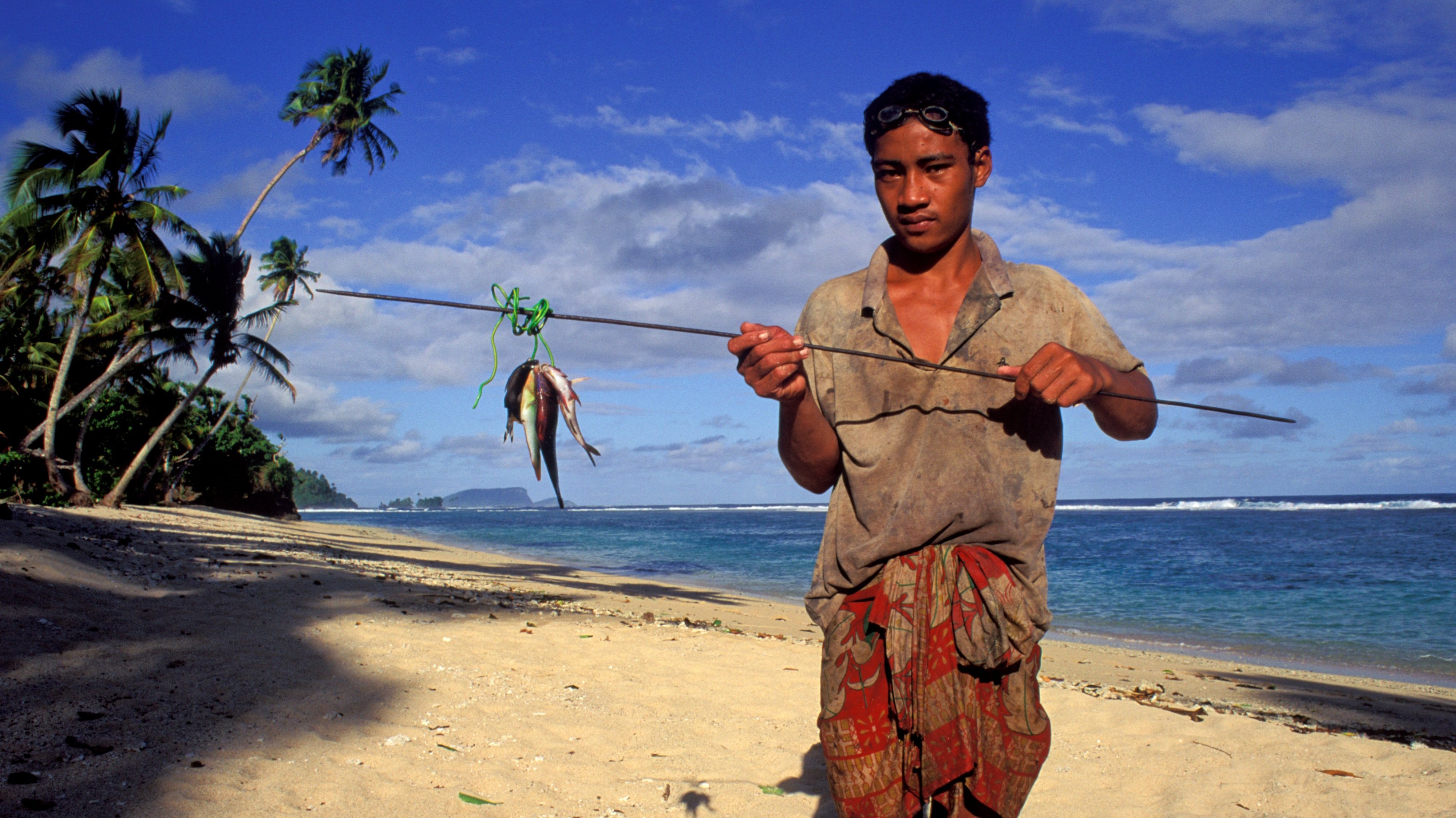 Western Samoa, Island Of Upolu, Southern Coast, Vavau, Spear fisherman Displaying Catch