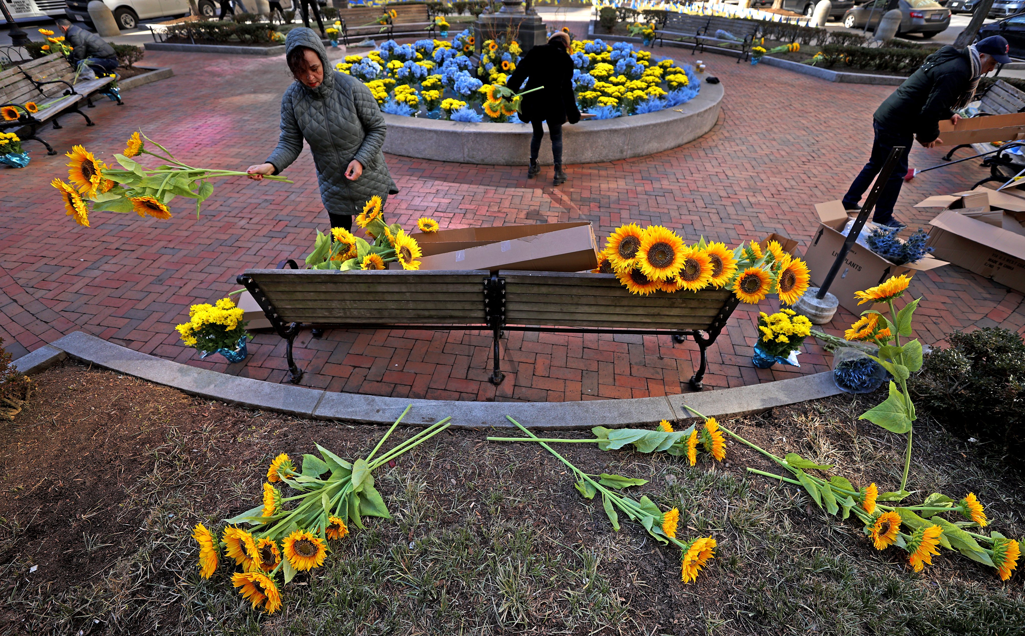 Flowers Spread In Honor of Ukraine