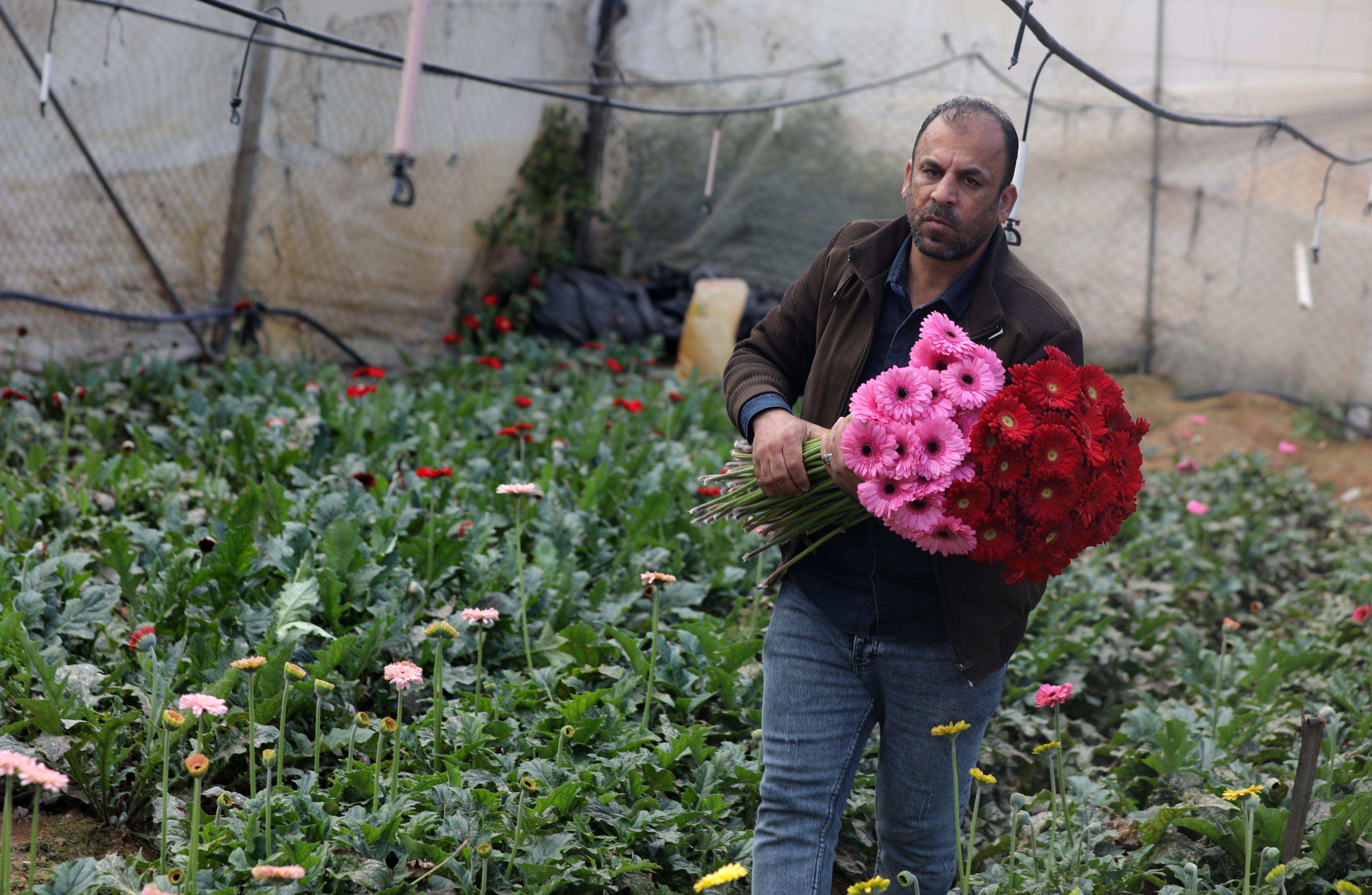 Valentine&#039;s Day In Gaza Strip