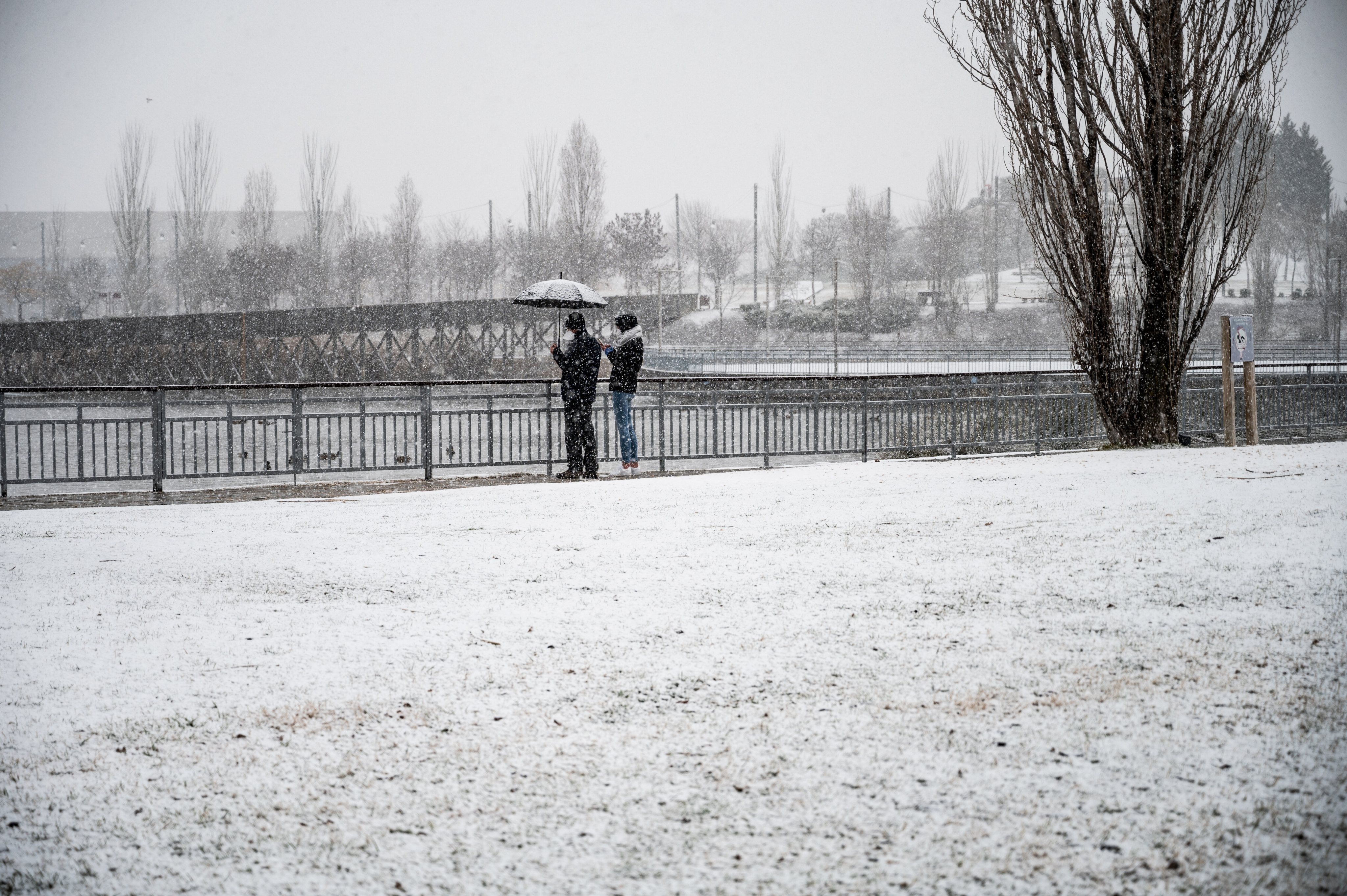 People take pictures as snow falls in a park of Madrid. A