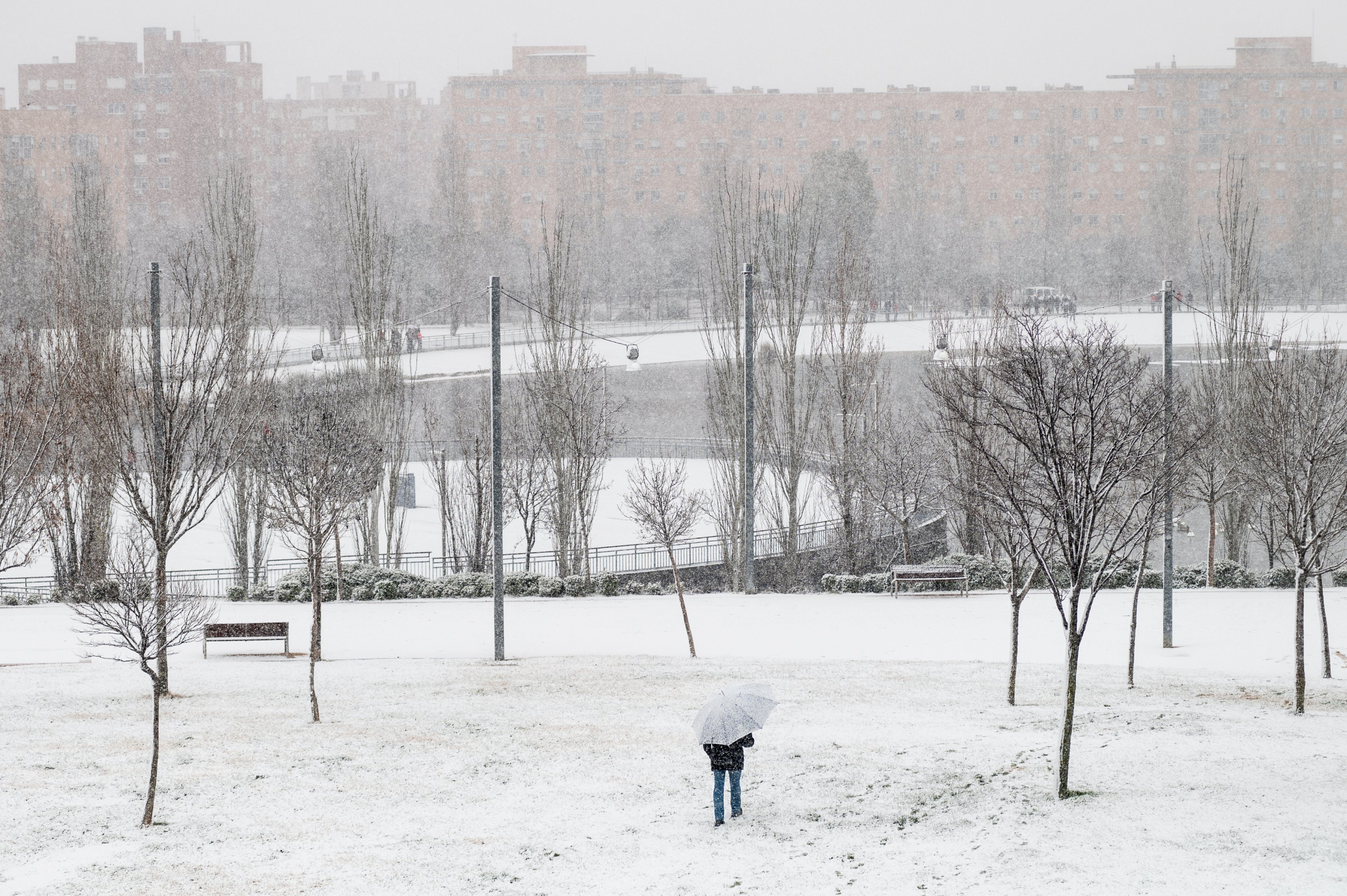 A man walking with an umbrella as snow falls in a park of