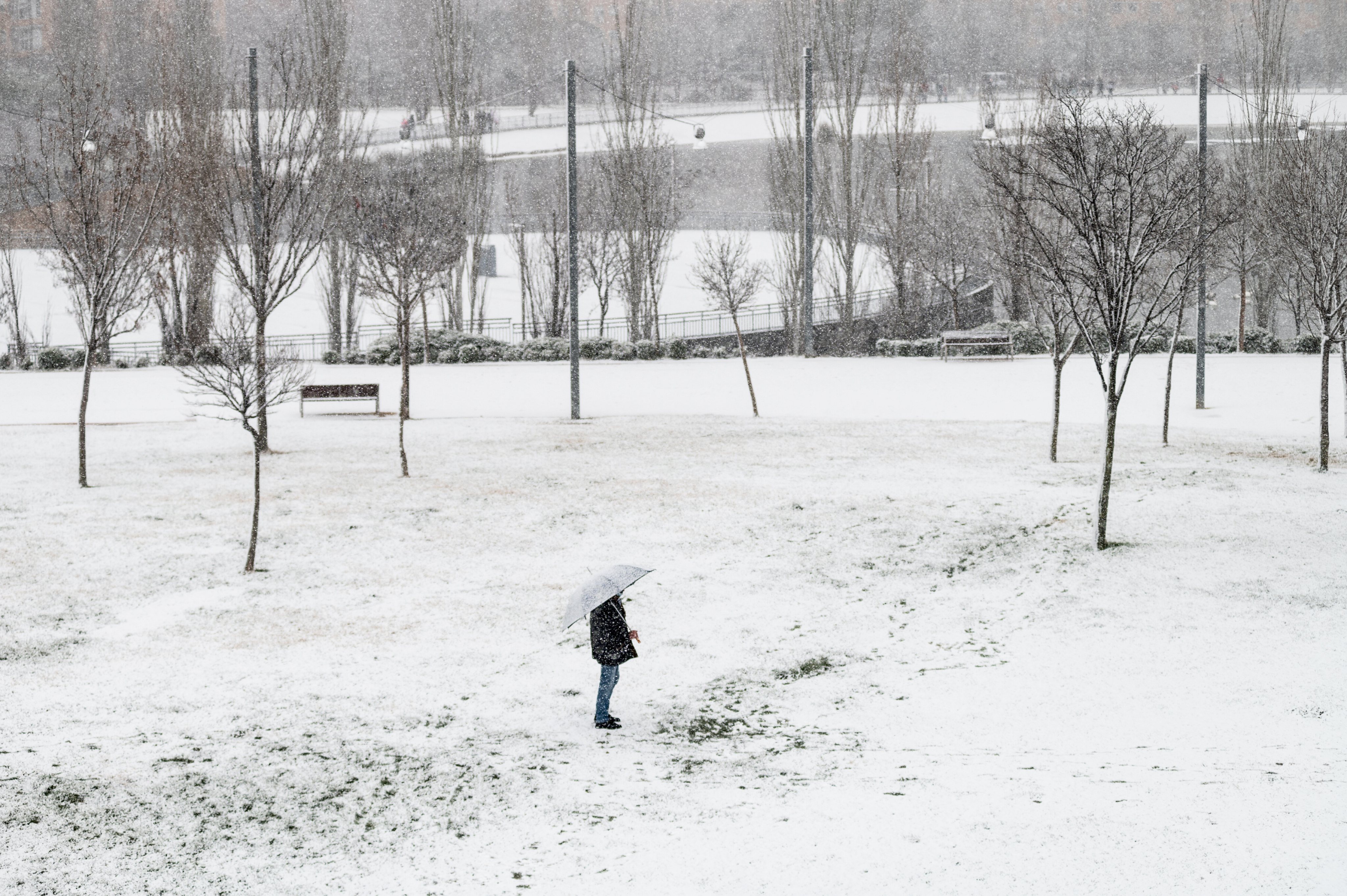 A man stands as snow falls in a park of Madrid. A warning