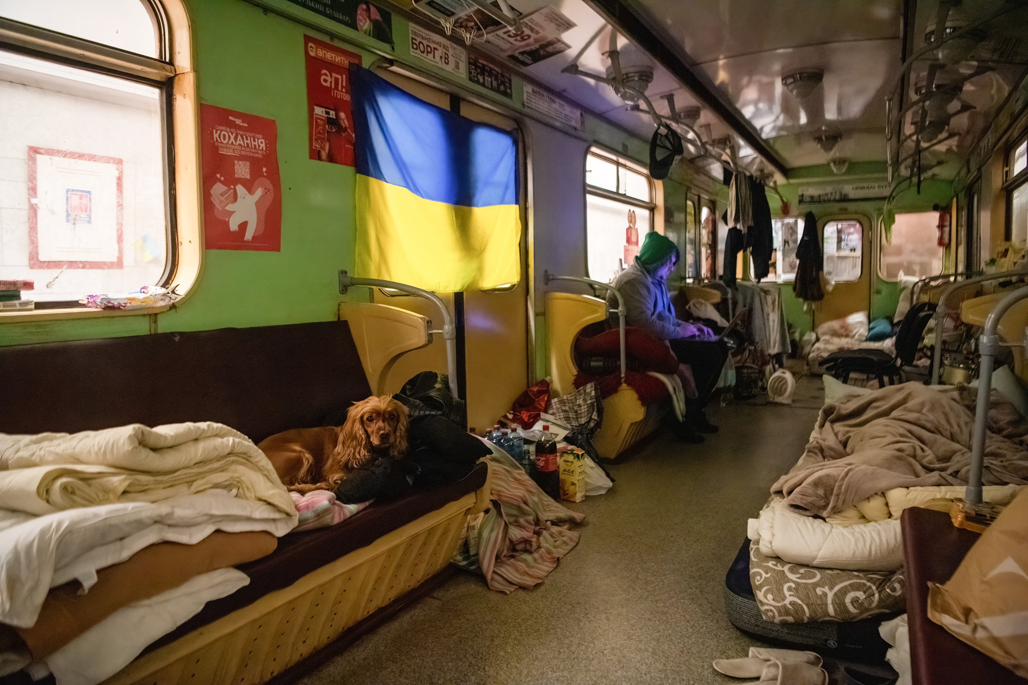 A dog inside a subway carriage in Kharkiv&#039;s Maidan