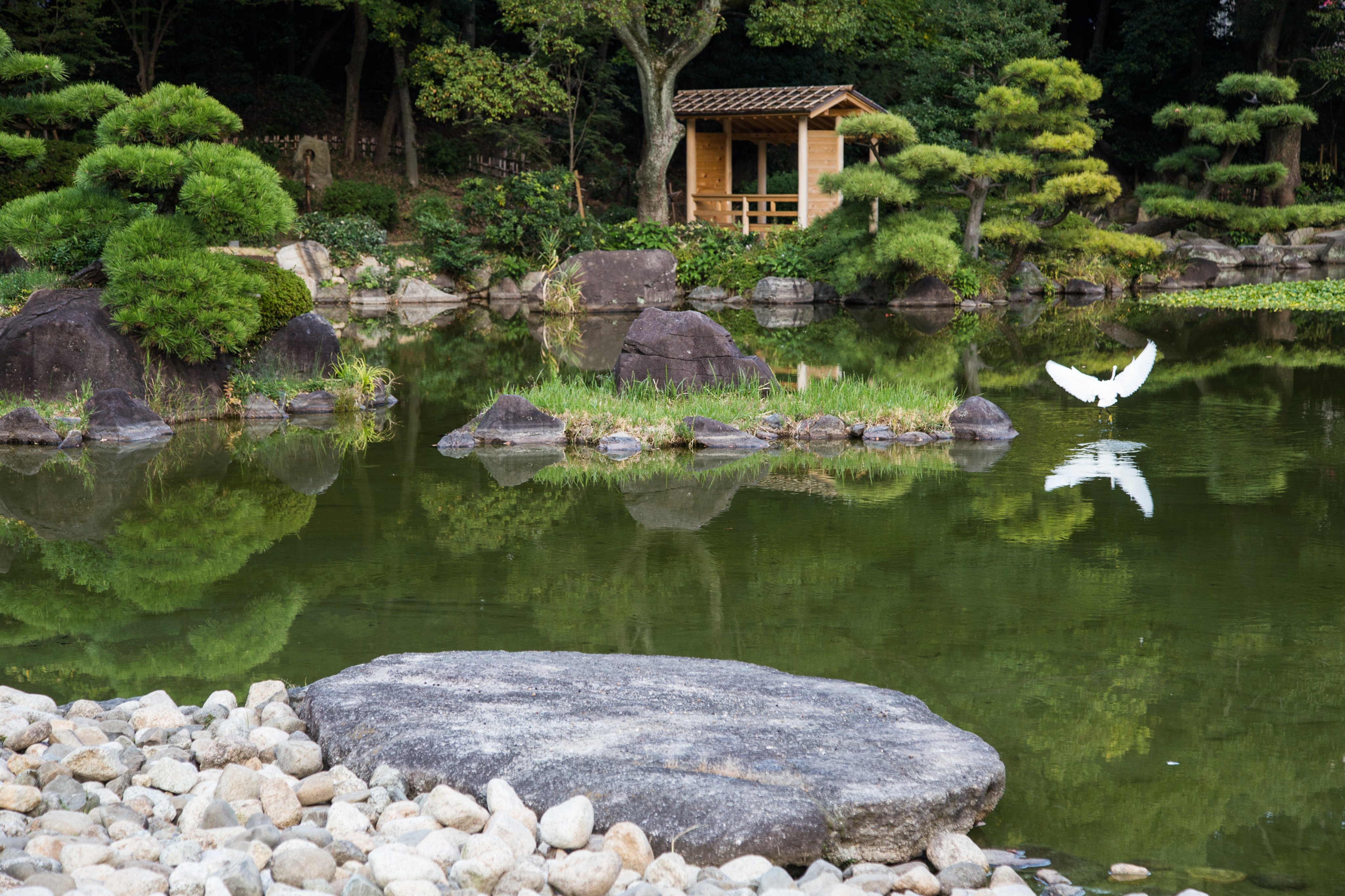 Keitaku Garden or Keitakuen is a chisen kaiyushiki pond