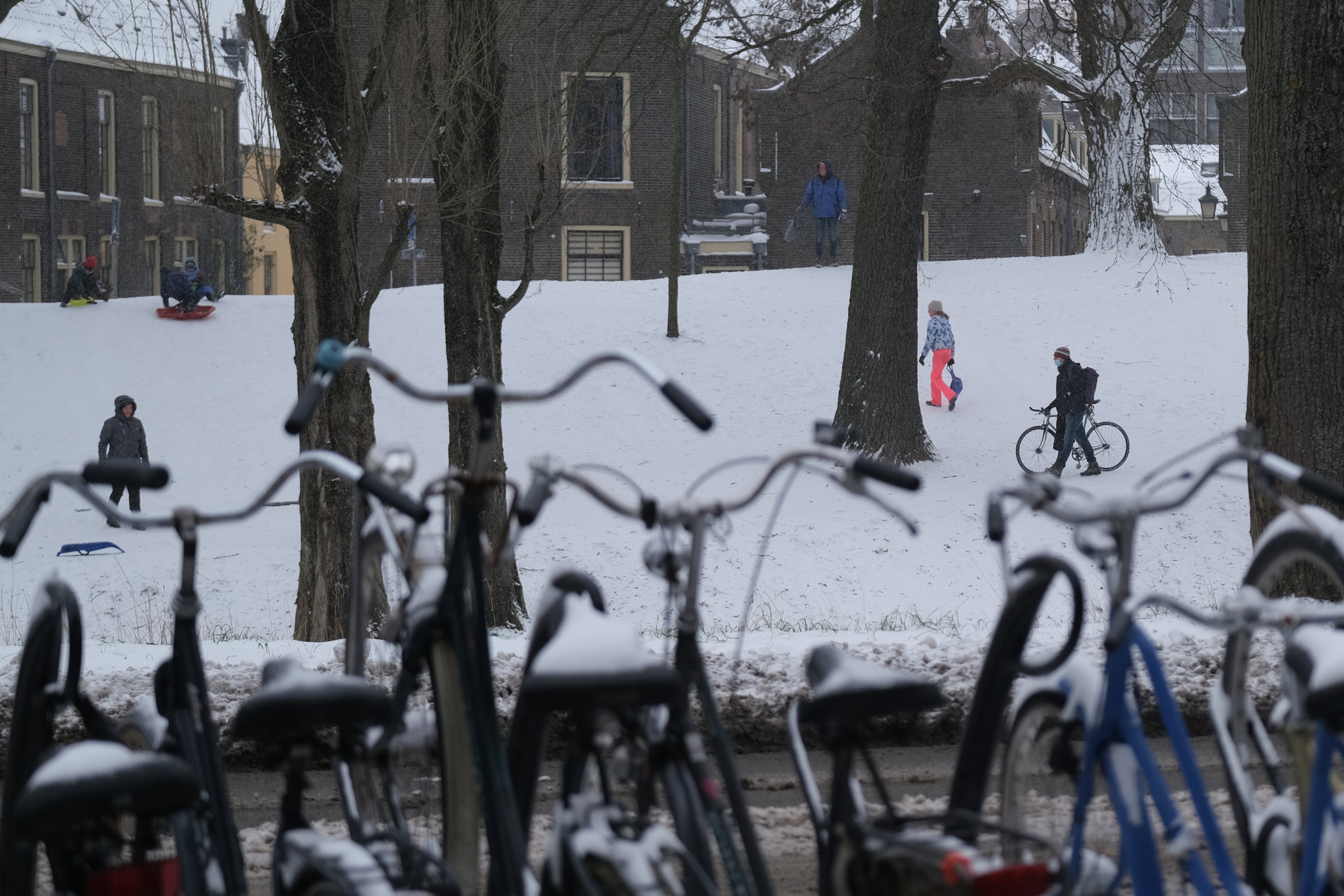 Meteorological Institute Issues Code Red As The First Snowstorm Since 2010 Hits The Netherlands