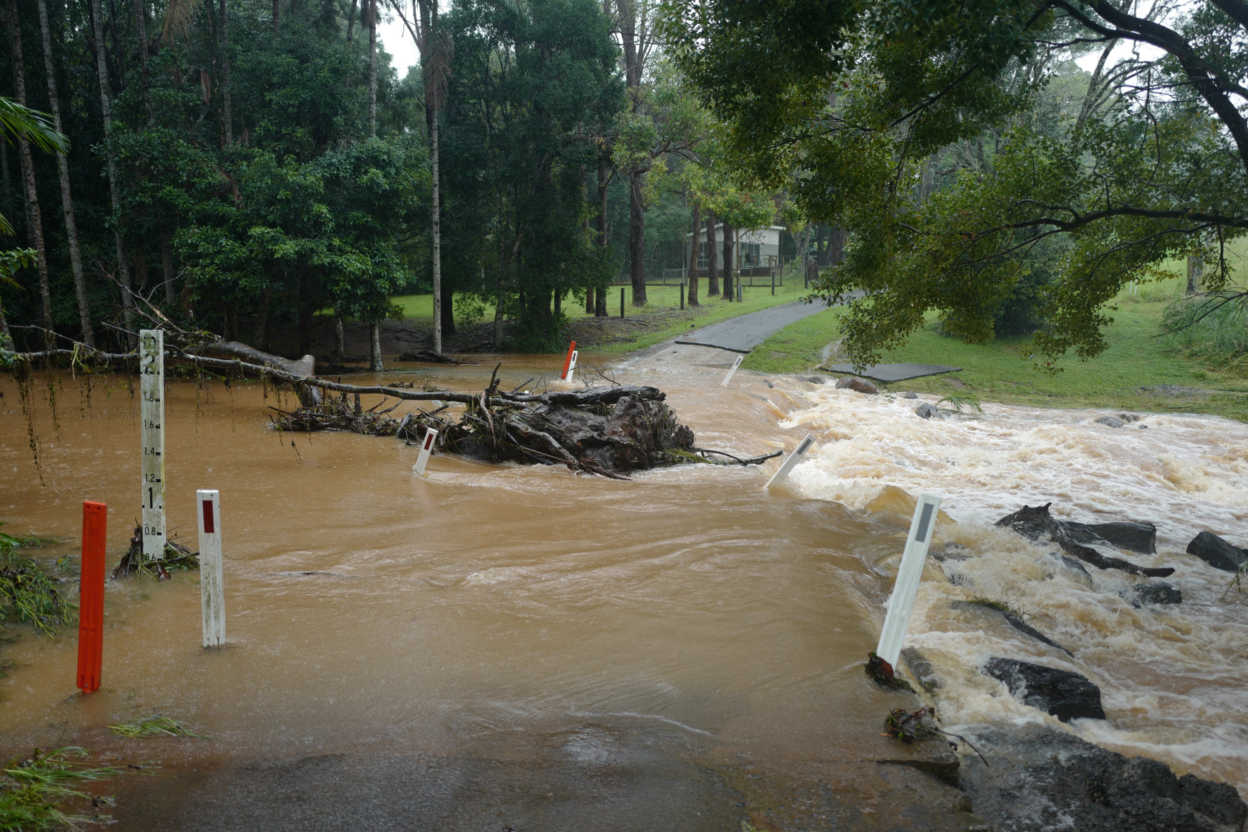 Extreme Weather Forces Evacuations Across NSW