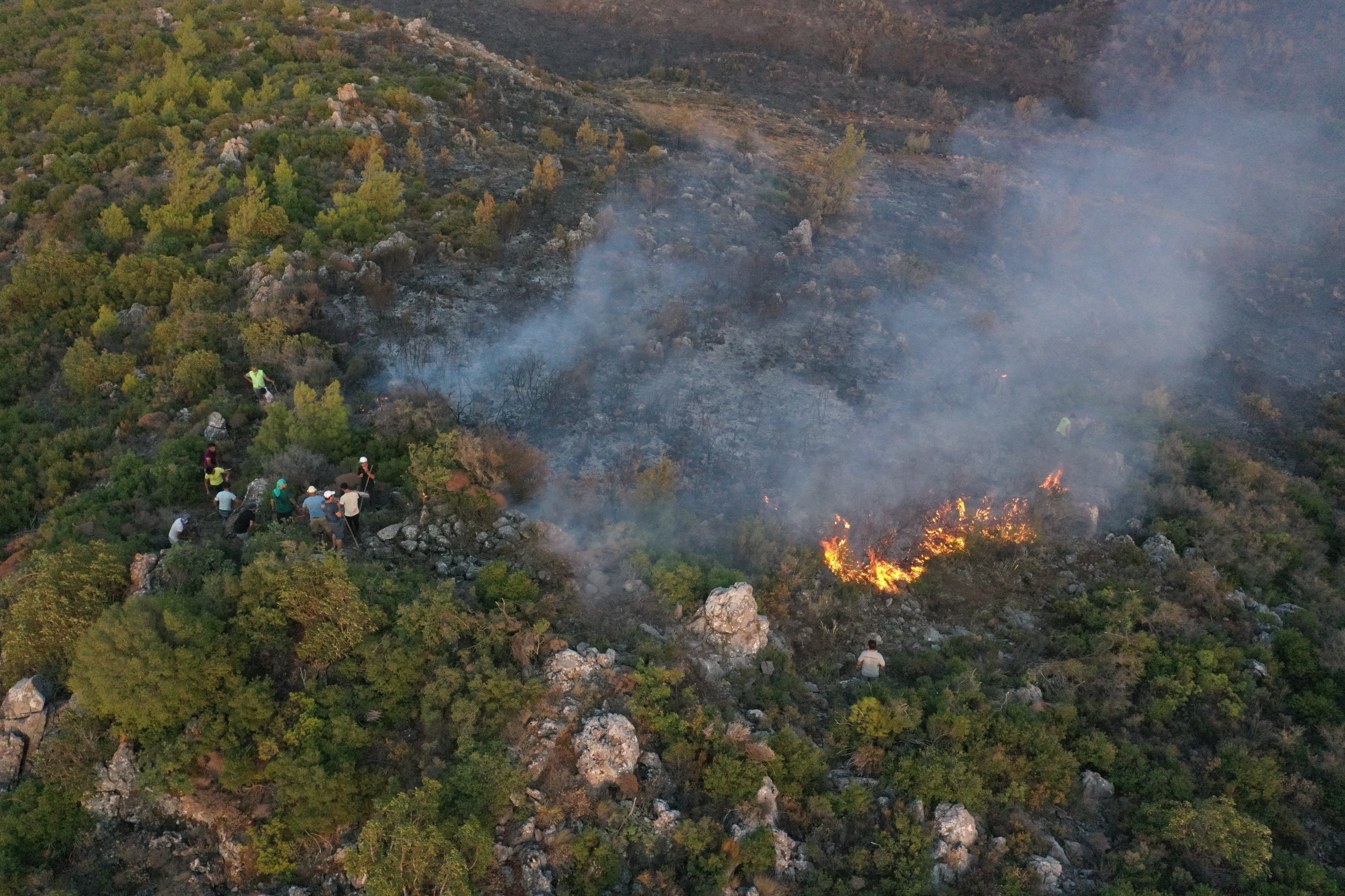 Forest fire in Turkey&#039;s Mugla