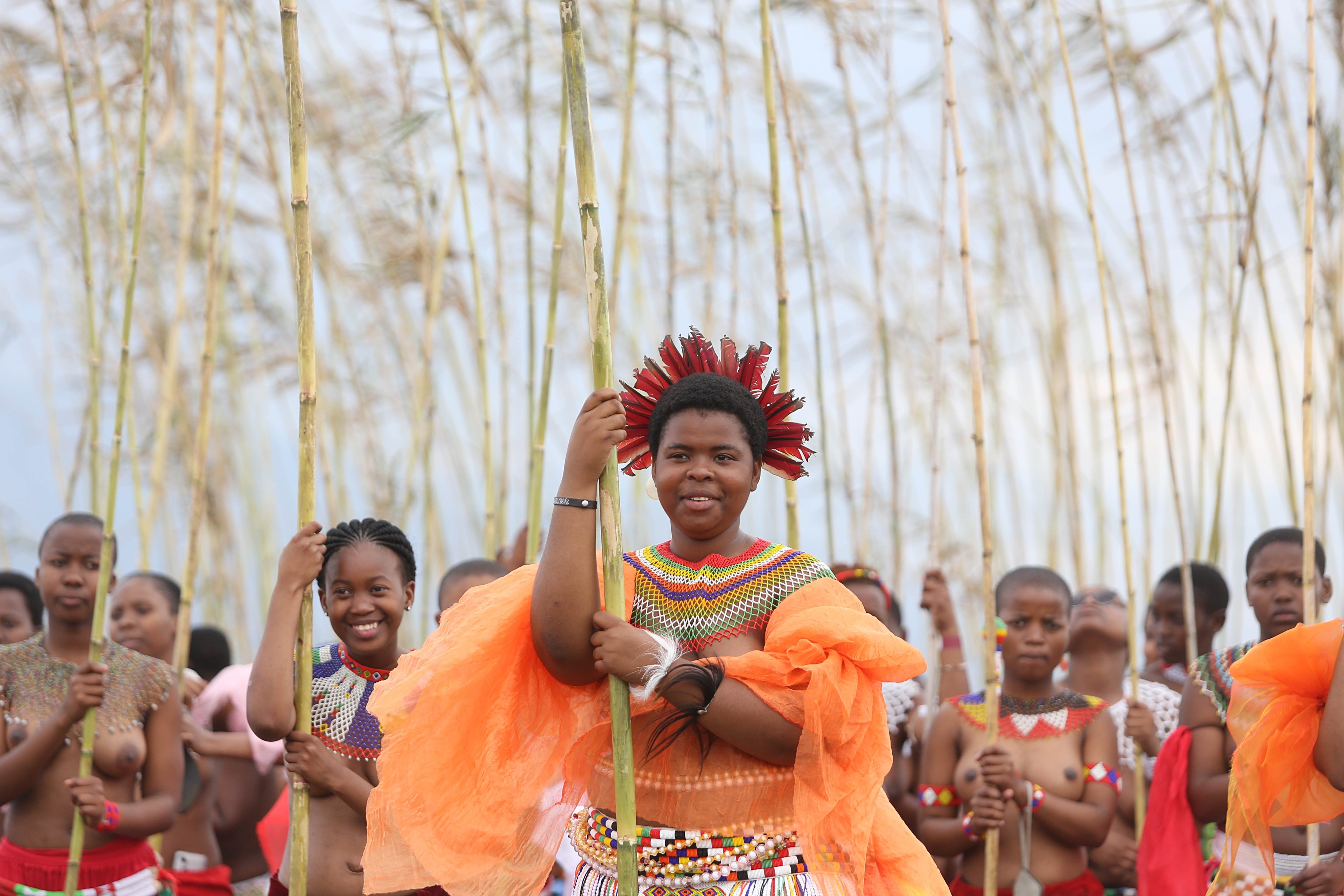 Zulu maidens gather for the annual reed dance in South Africa