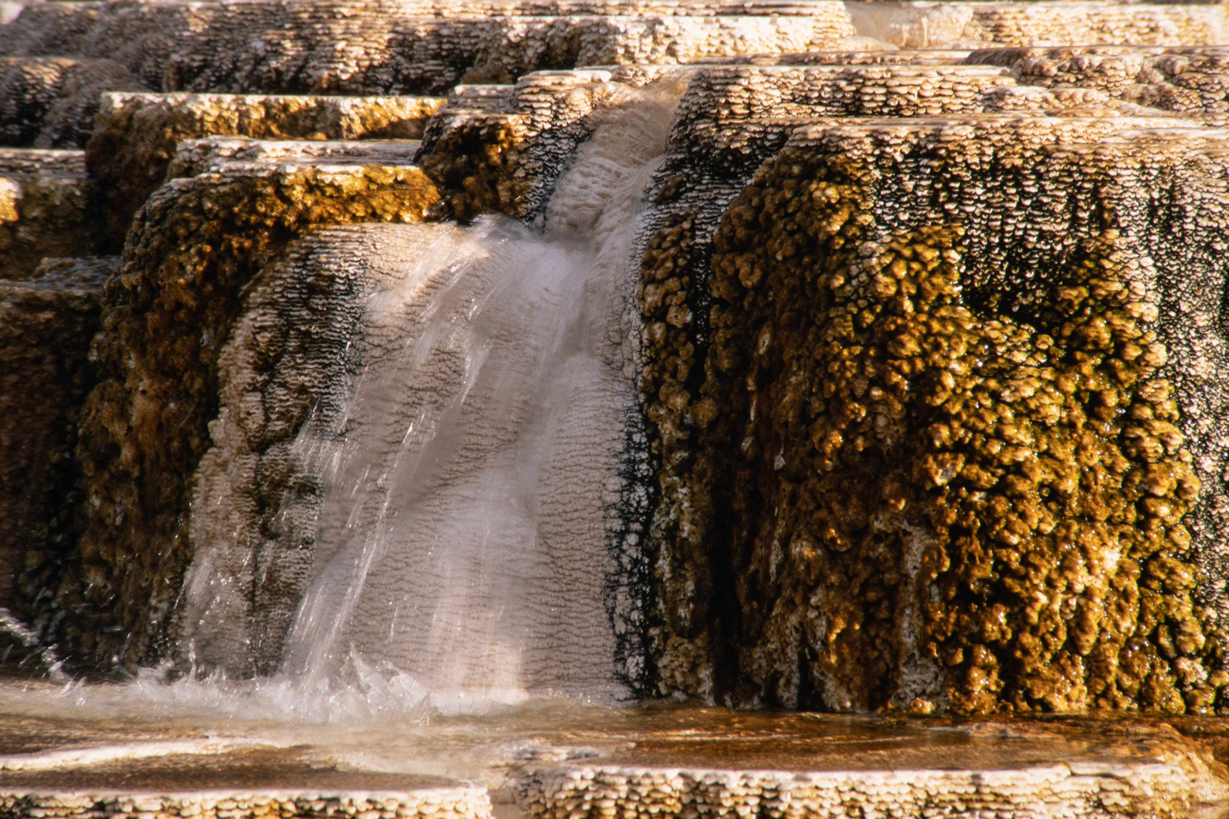 Colorful mineral formations in the Lower Terraces of Mammoth Hot Springs in Yellowstone National Park in Wyoming, USA.