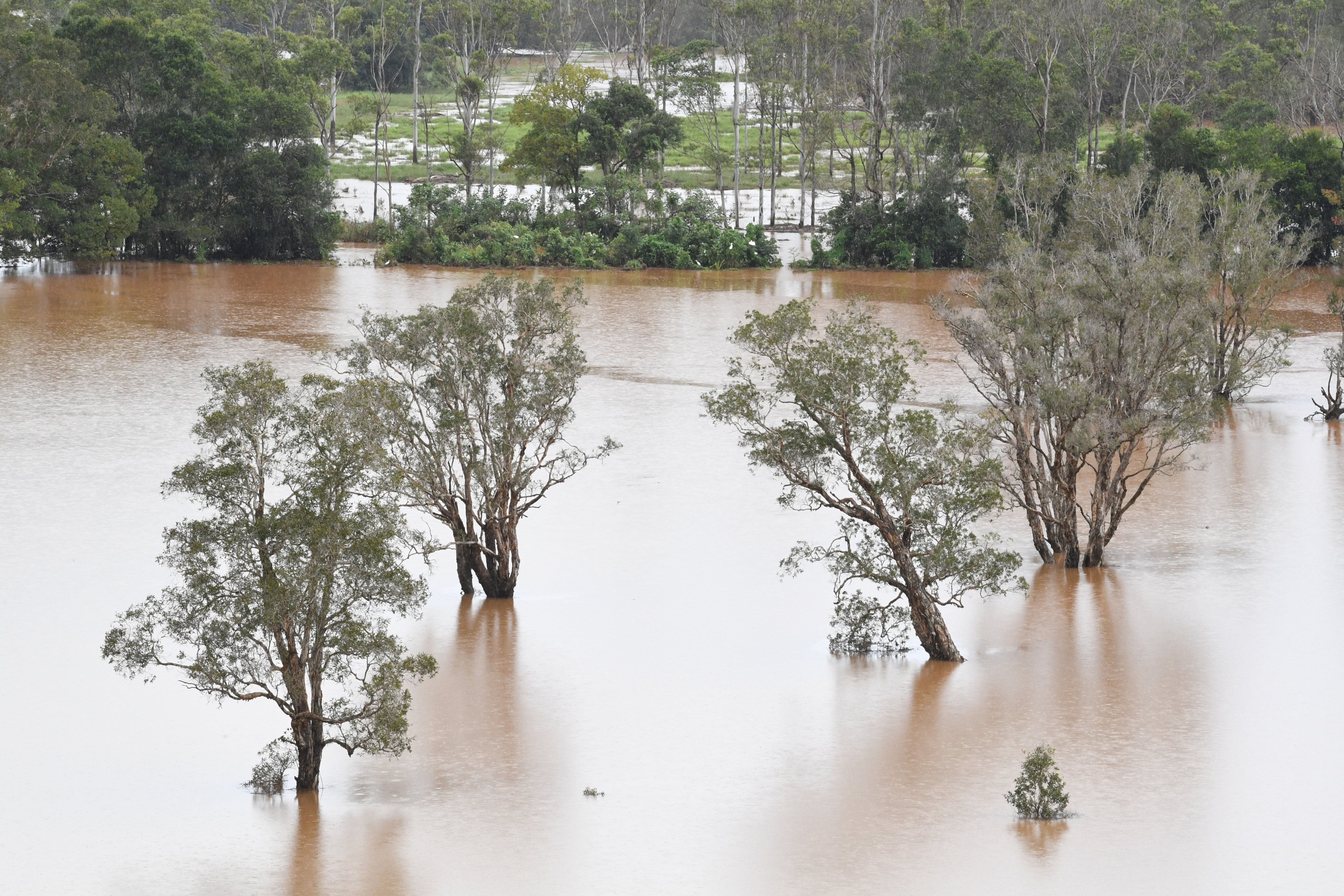 A região norte de Nova Gales do Sul, na Austrália, foi afetada esta terça-feira por fortes cheias