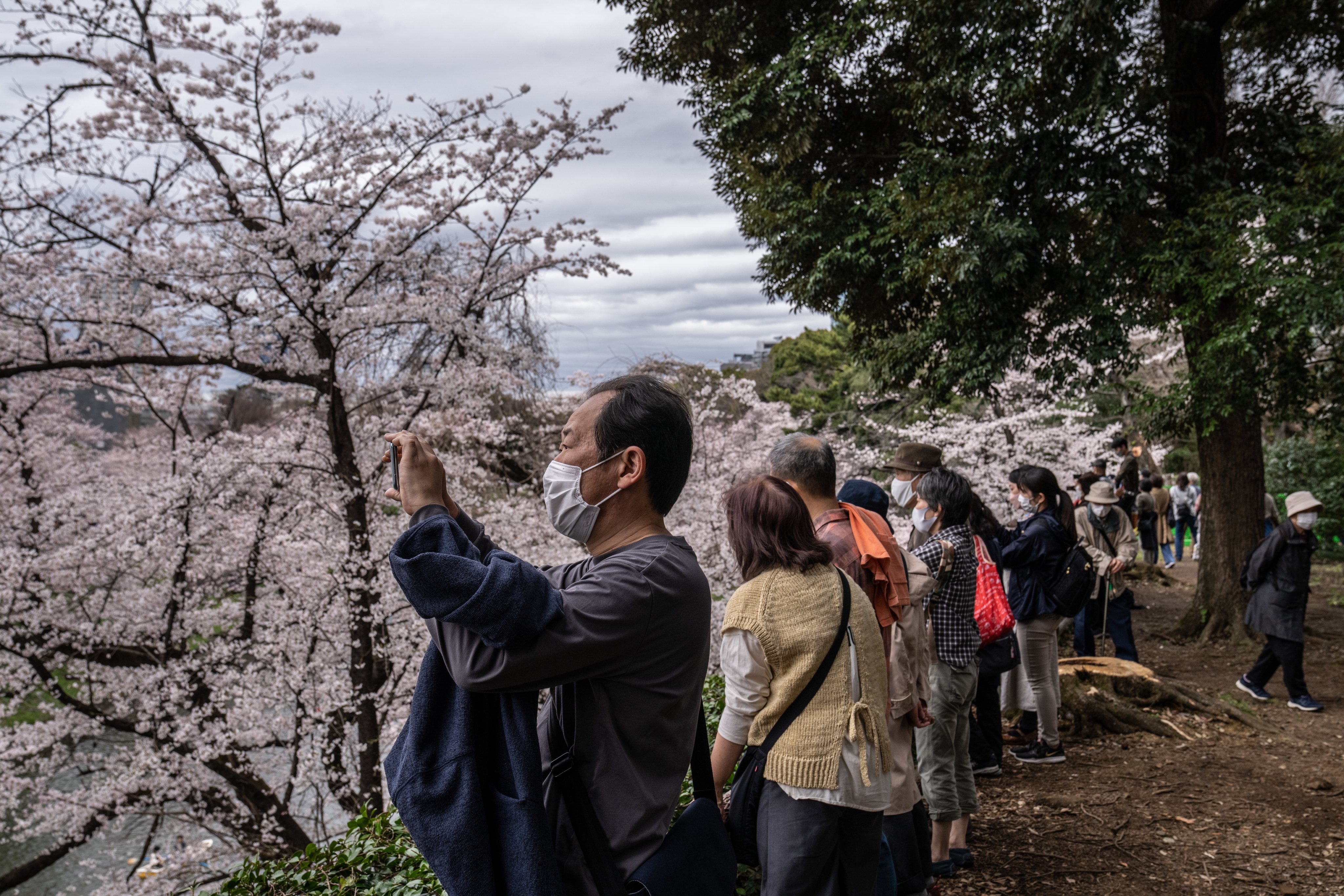 Visitantes no Parque Chidorigafuchi tiram fotos