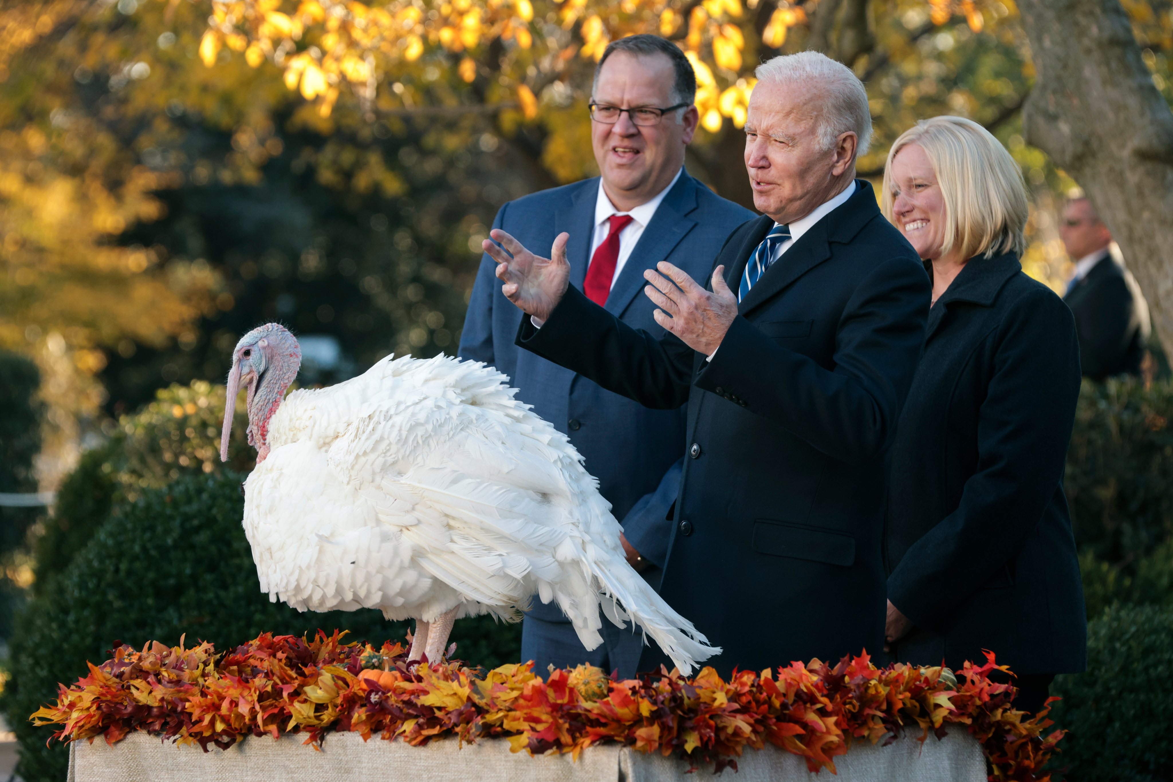 President Biden Pardons National Thanksgiving Turkeys