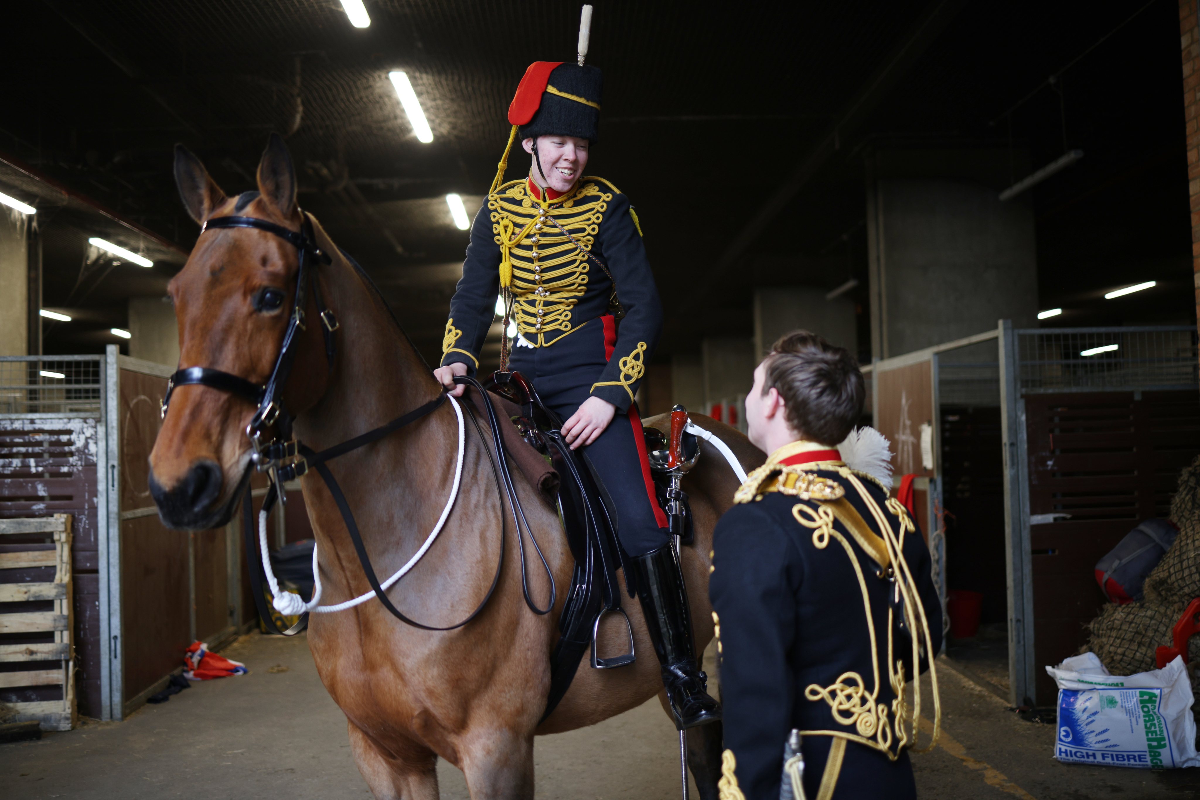 A celebração da Companhia Real de Artilharia a Cavalo que marca o Jubileu de Platina da Rainha Isabel II