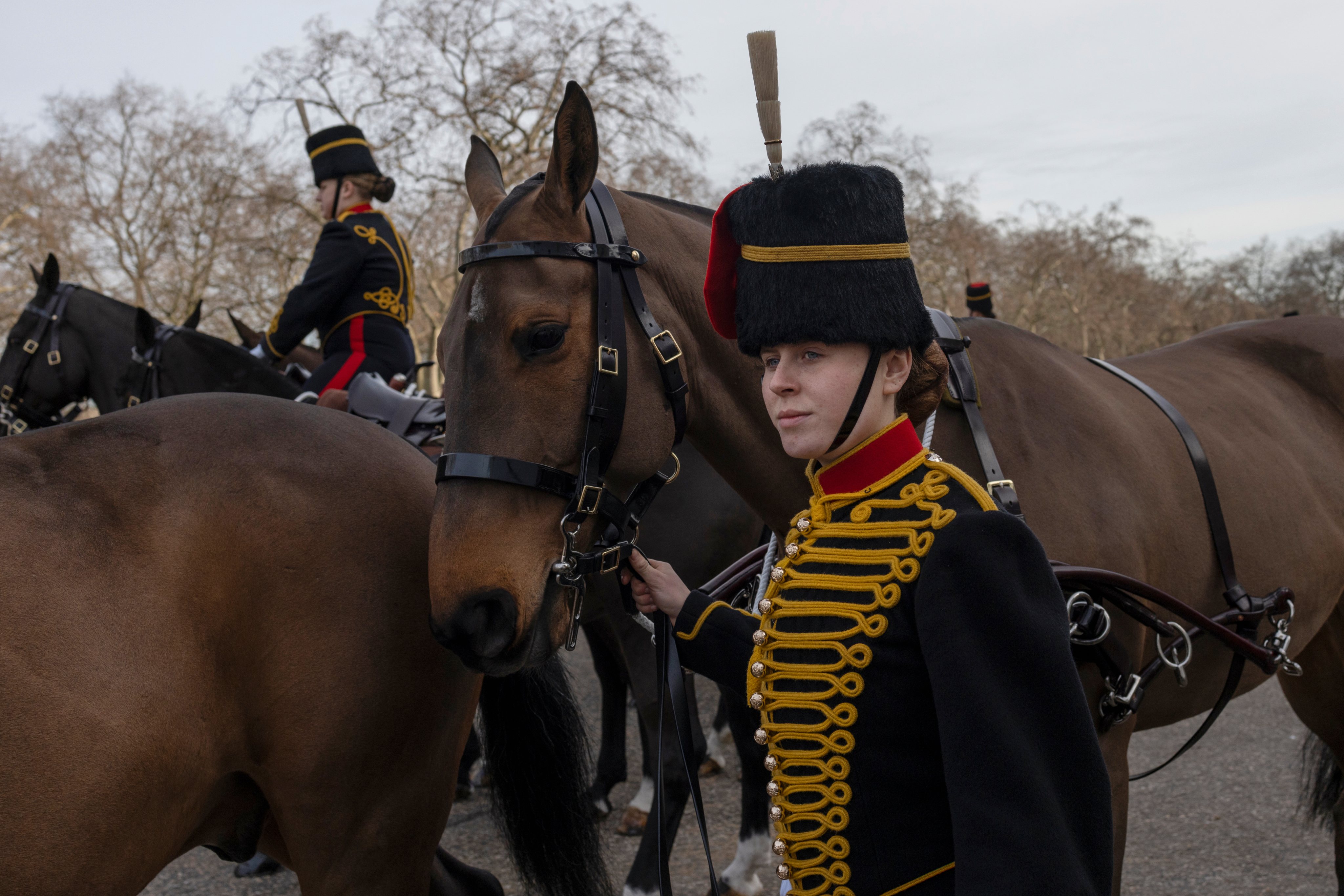 A celebração da Companhia Real de Artilharia a Cavalo que marca o Jubileu de Platina da Rainha Isabel II