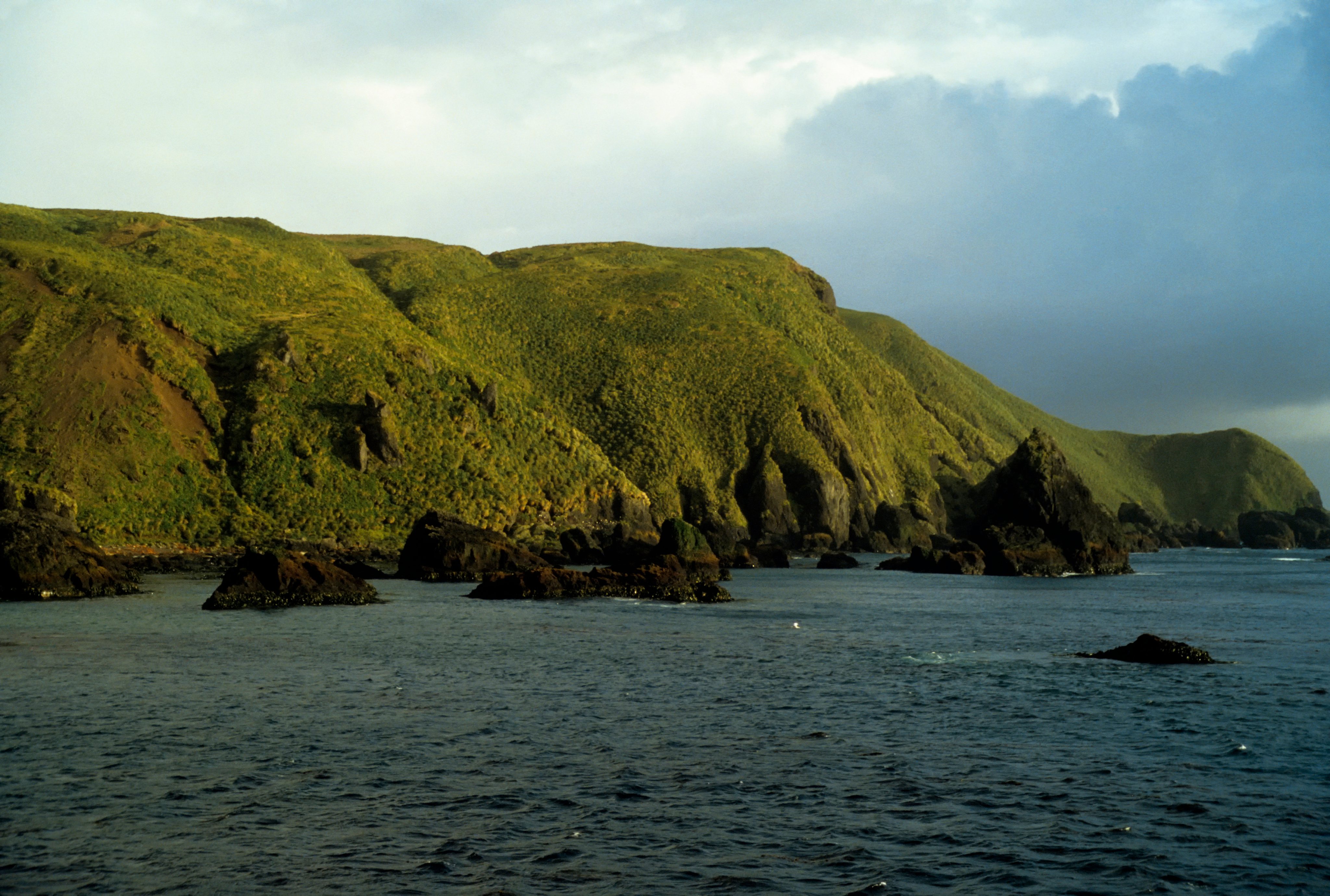 Macquarie Island, View Of The Island From The Sea