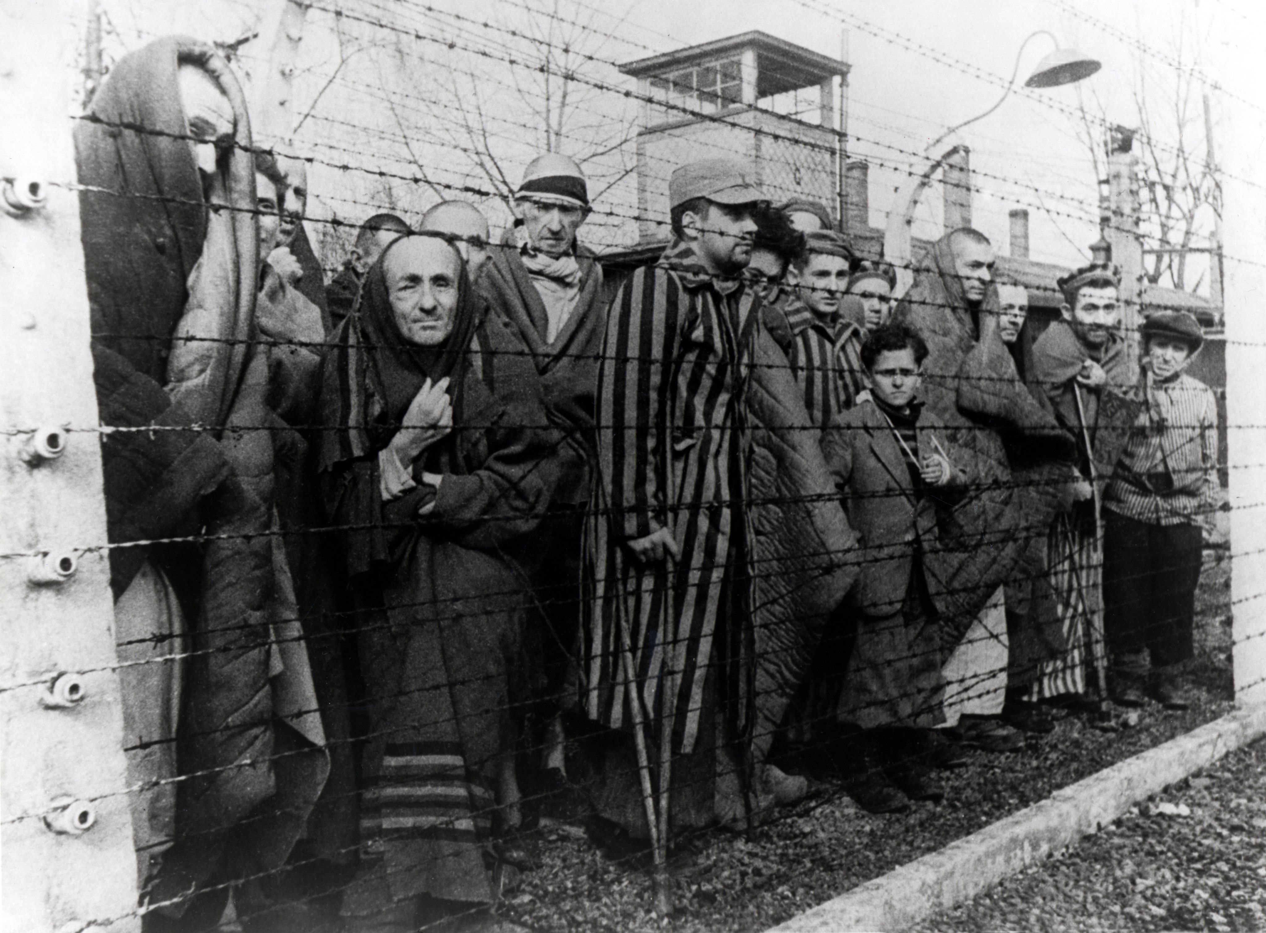 Sobreviventes de Auschwitz