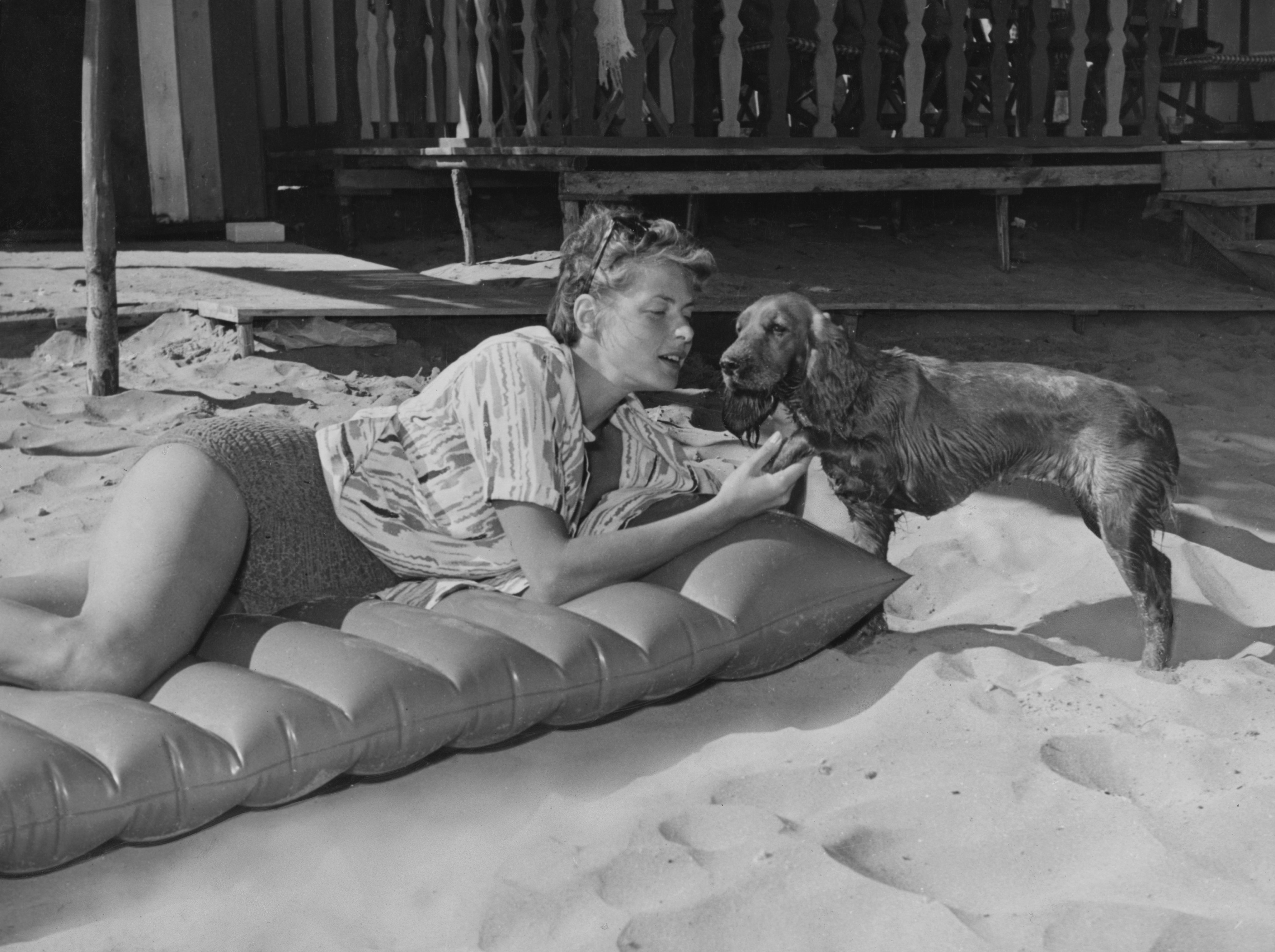 Ingrid Bergman with Spaniel Dog