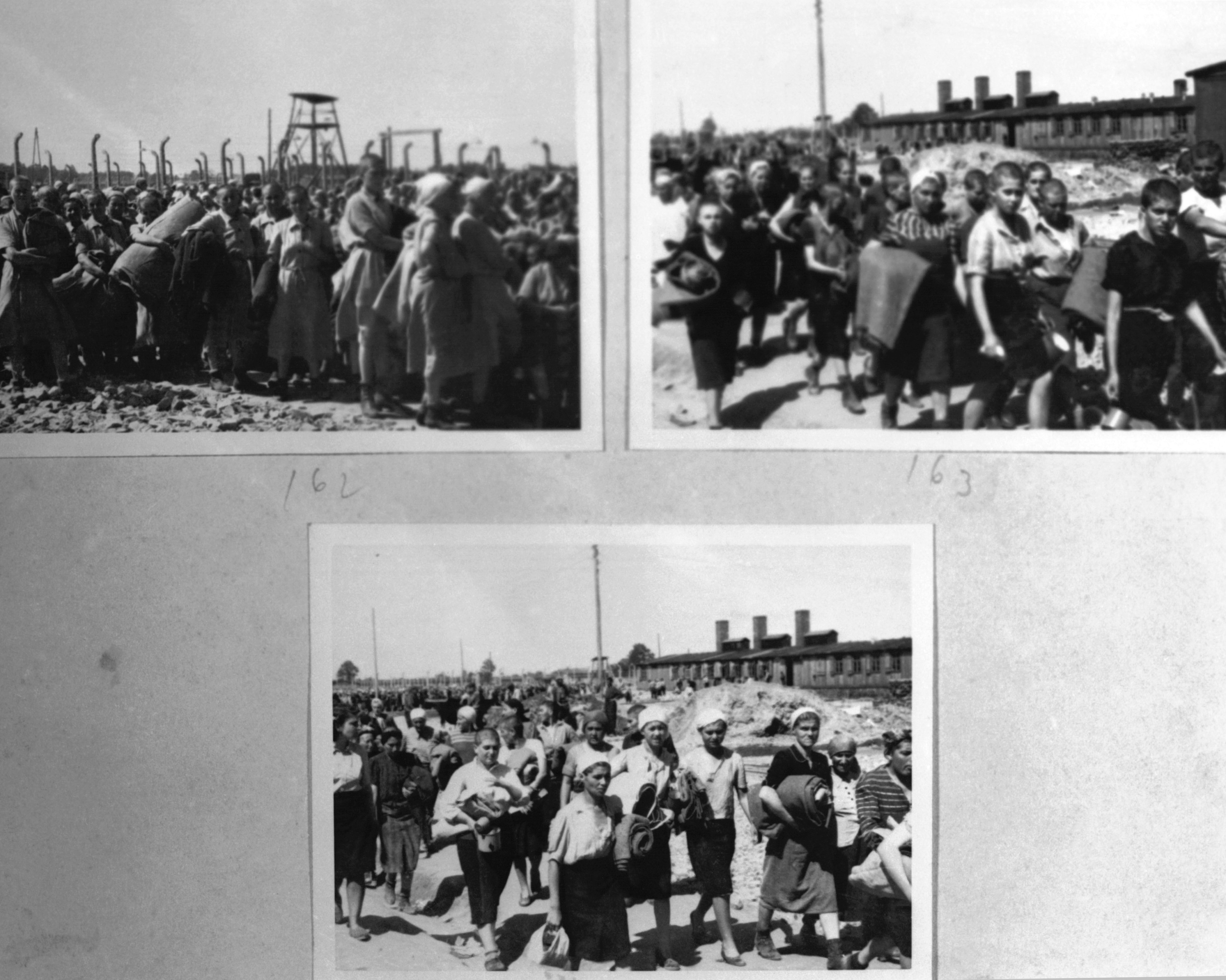 Mulheres à chegada de Auschwitz