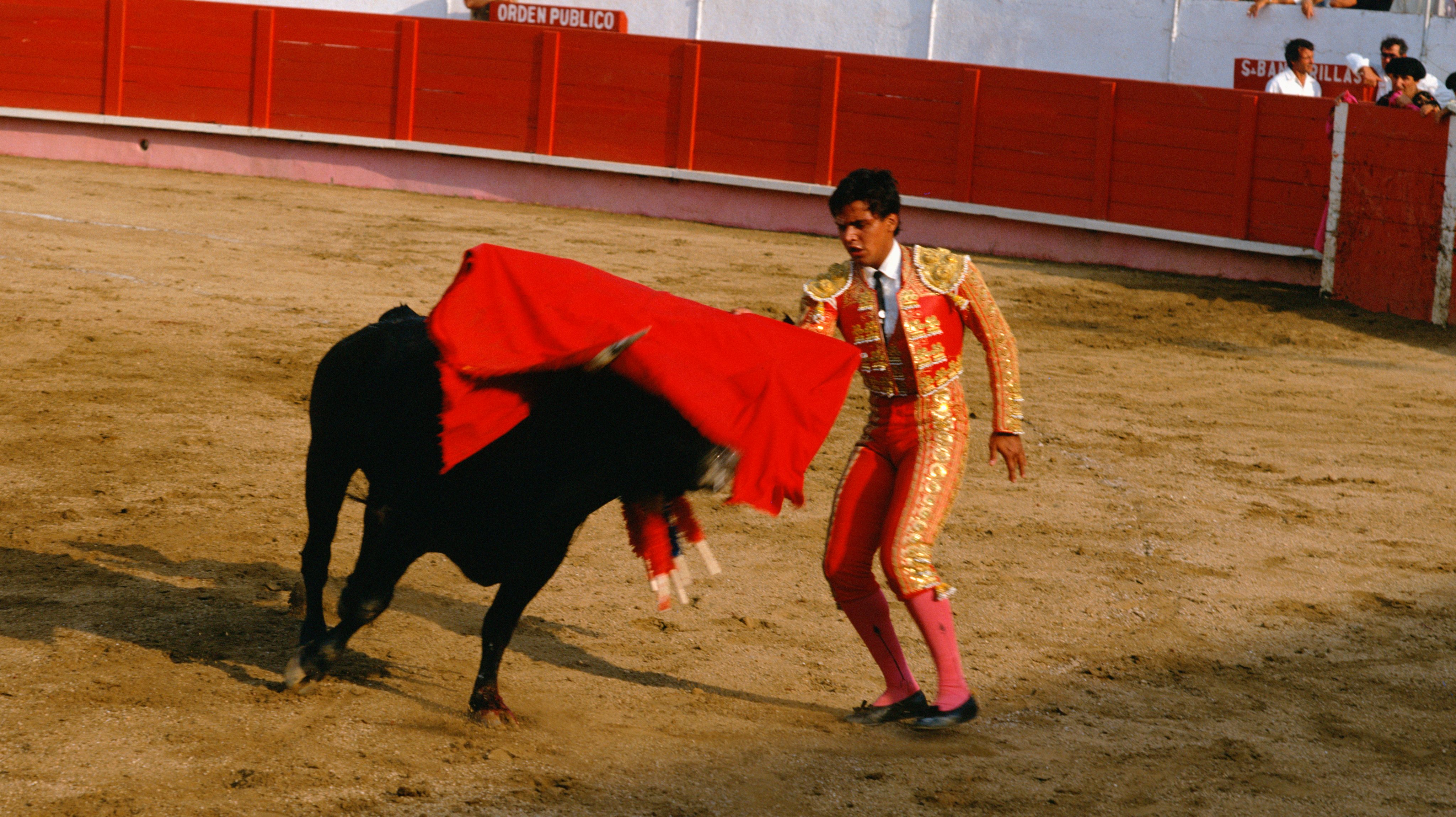 Bullfight , Spain