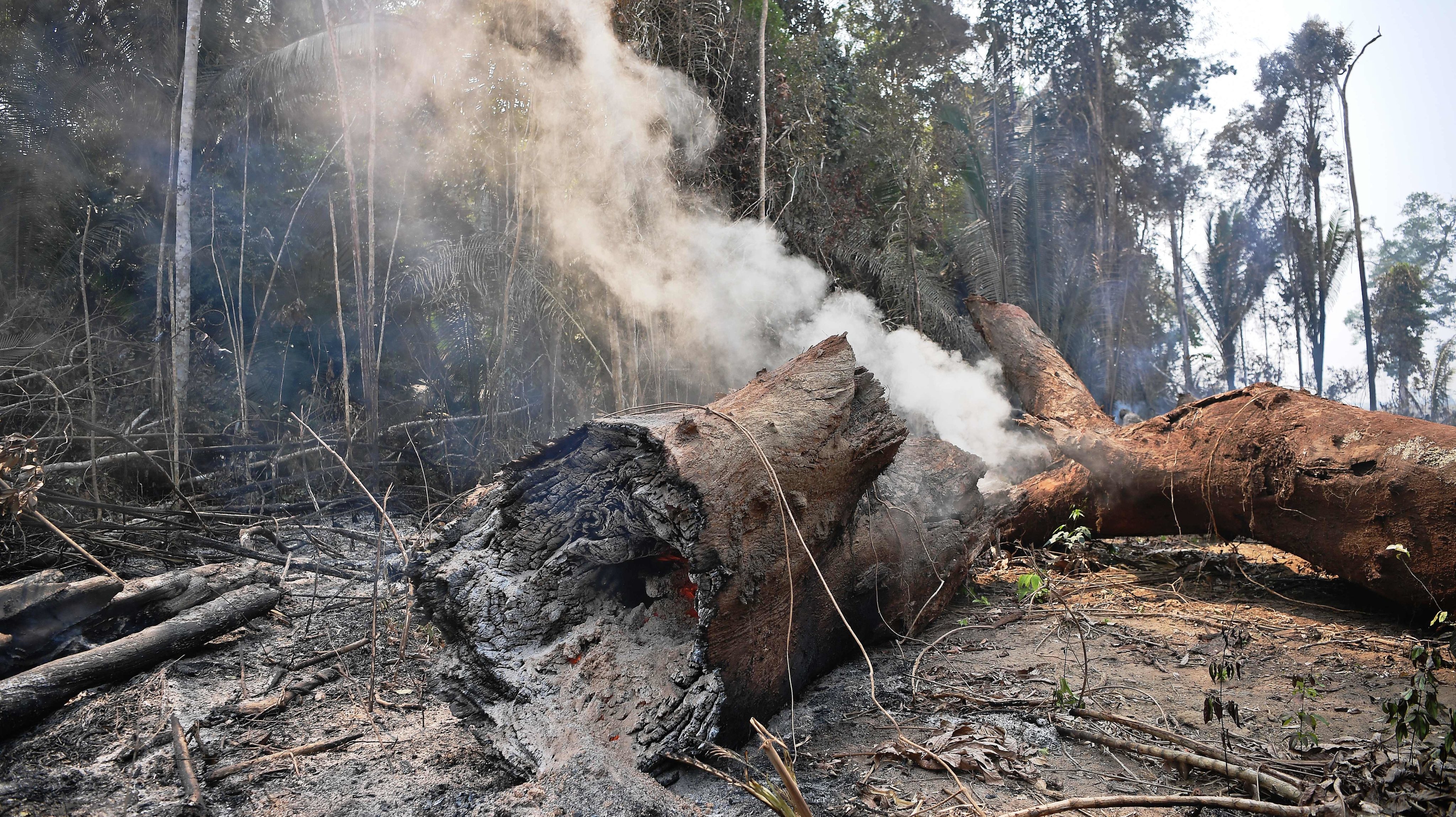 BRAZIL-FIRE-AMAZON-DEFORESTATION