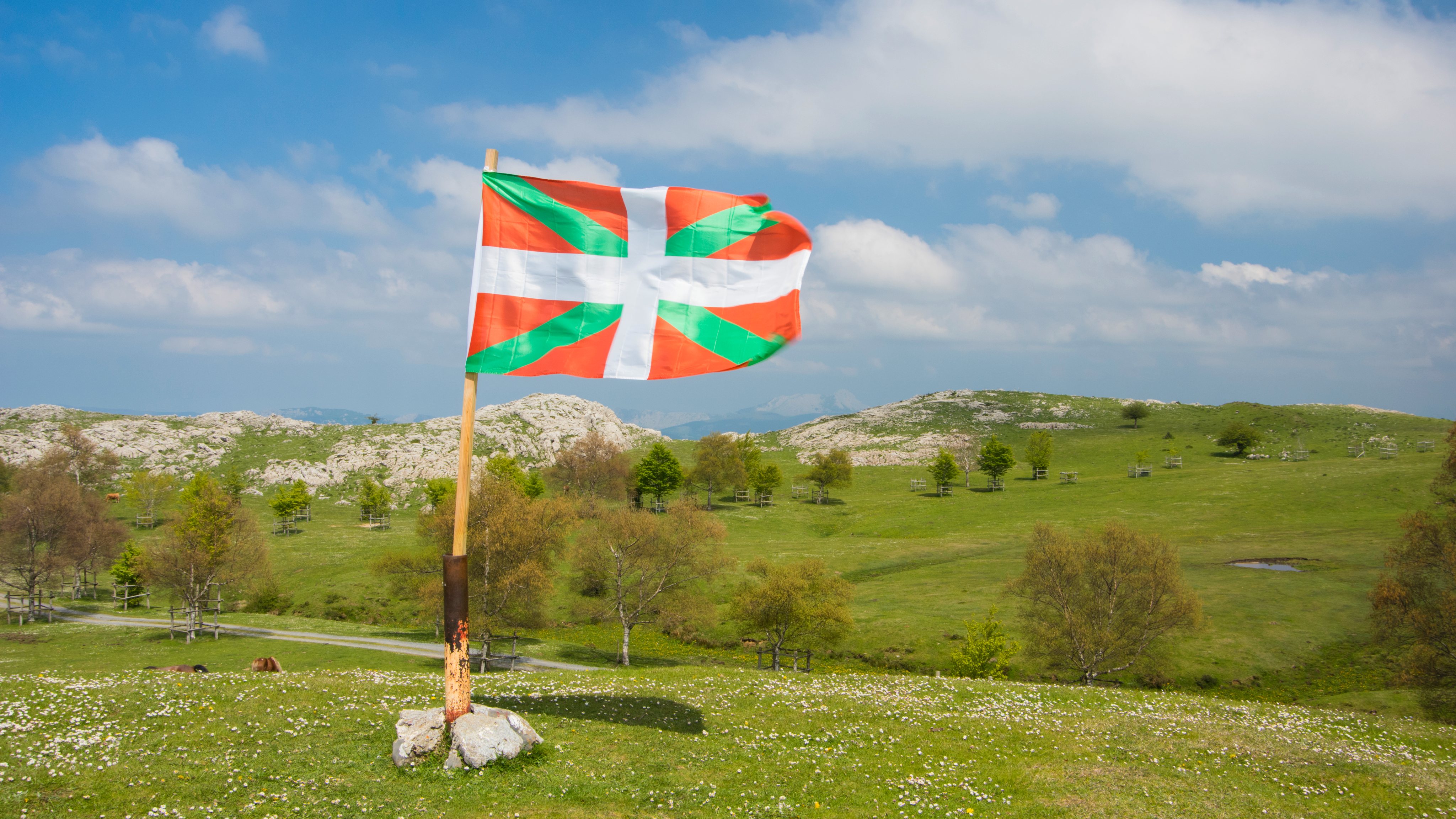 Basque Country flag, Gorbeia Natural Park, Orozko, Biscay, Basque Country, Spain.
