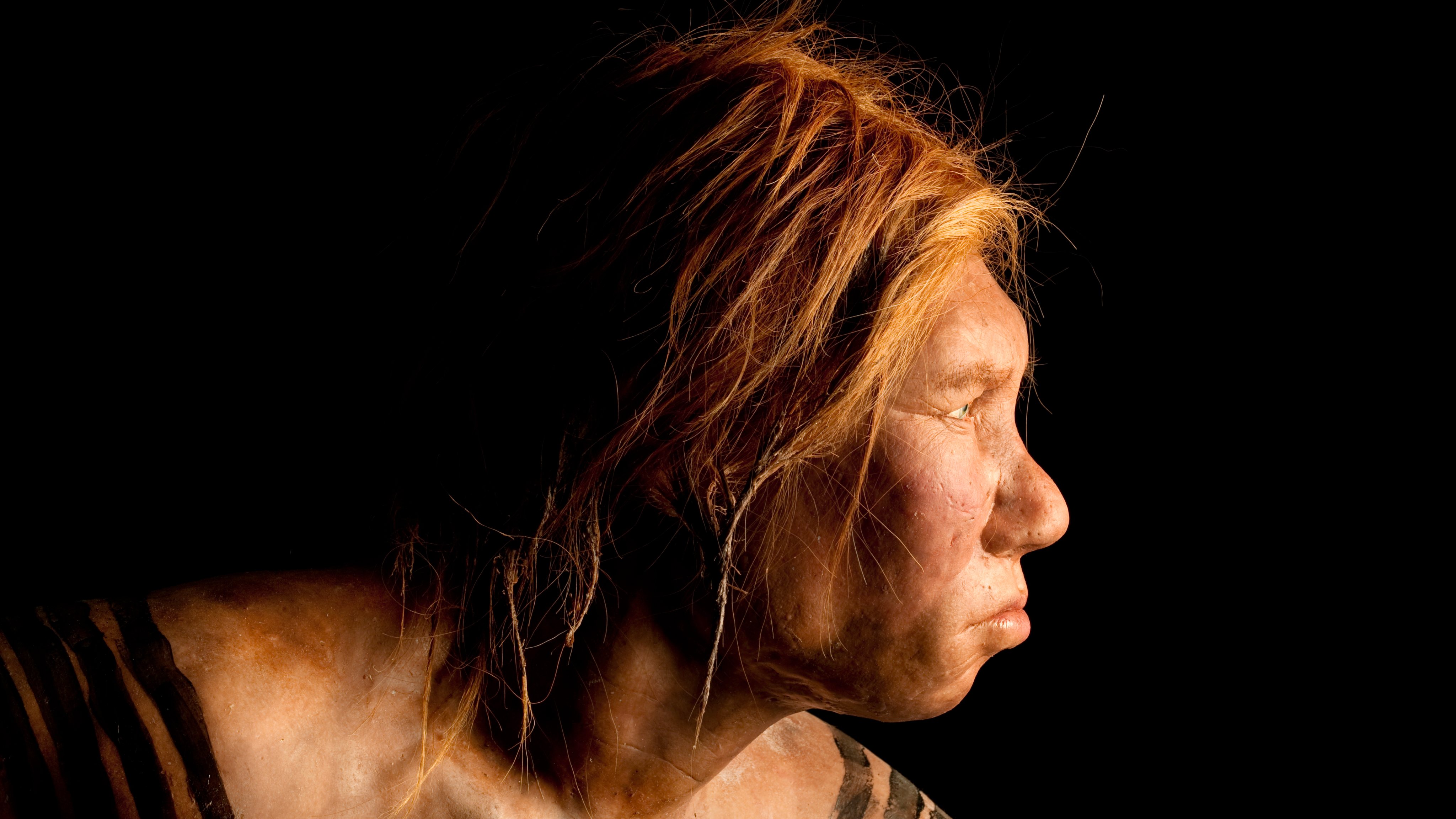 neandertais