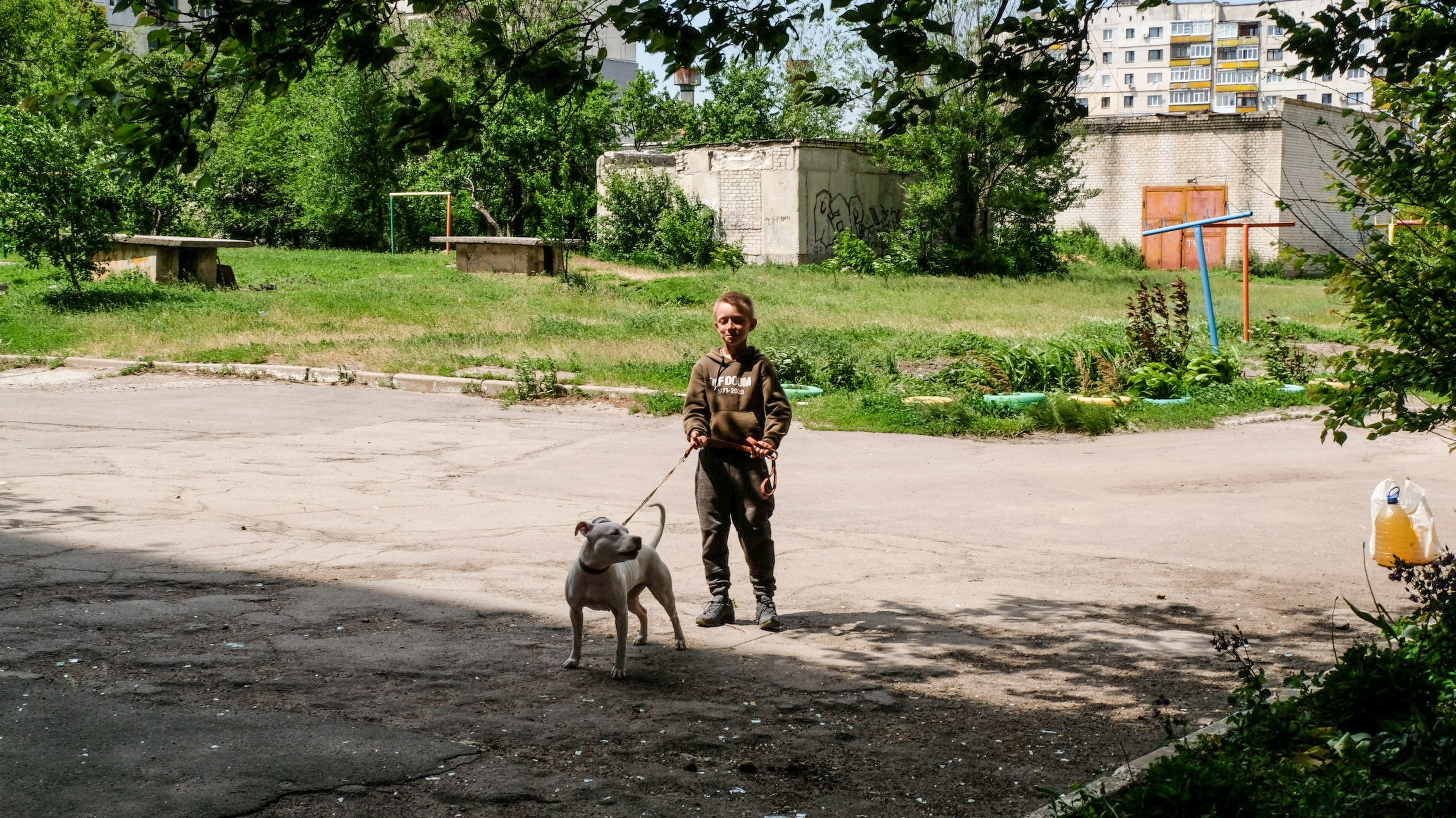 A young boy seen with a dog in a backyard of a residential