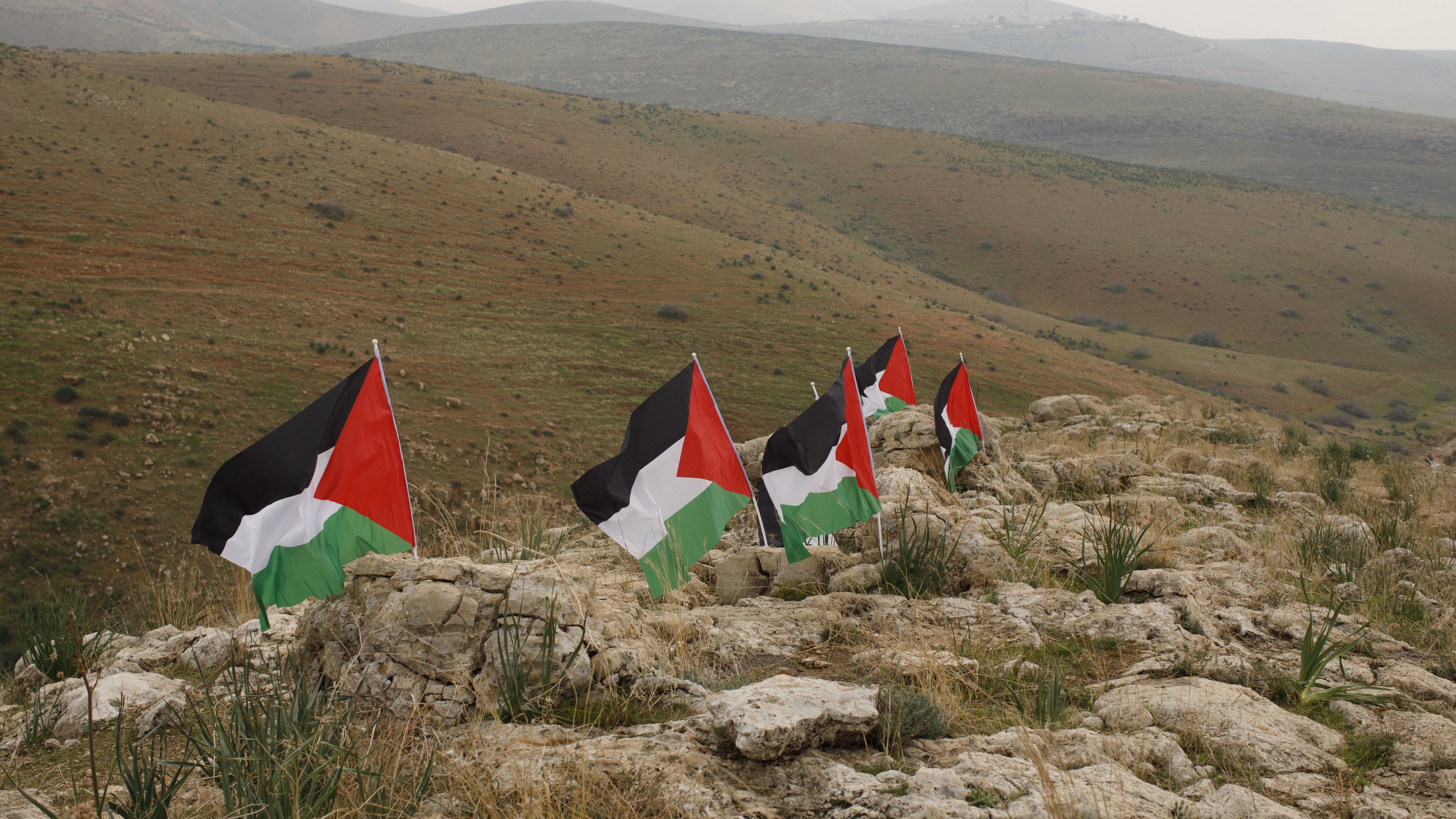 Palestinian Flags