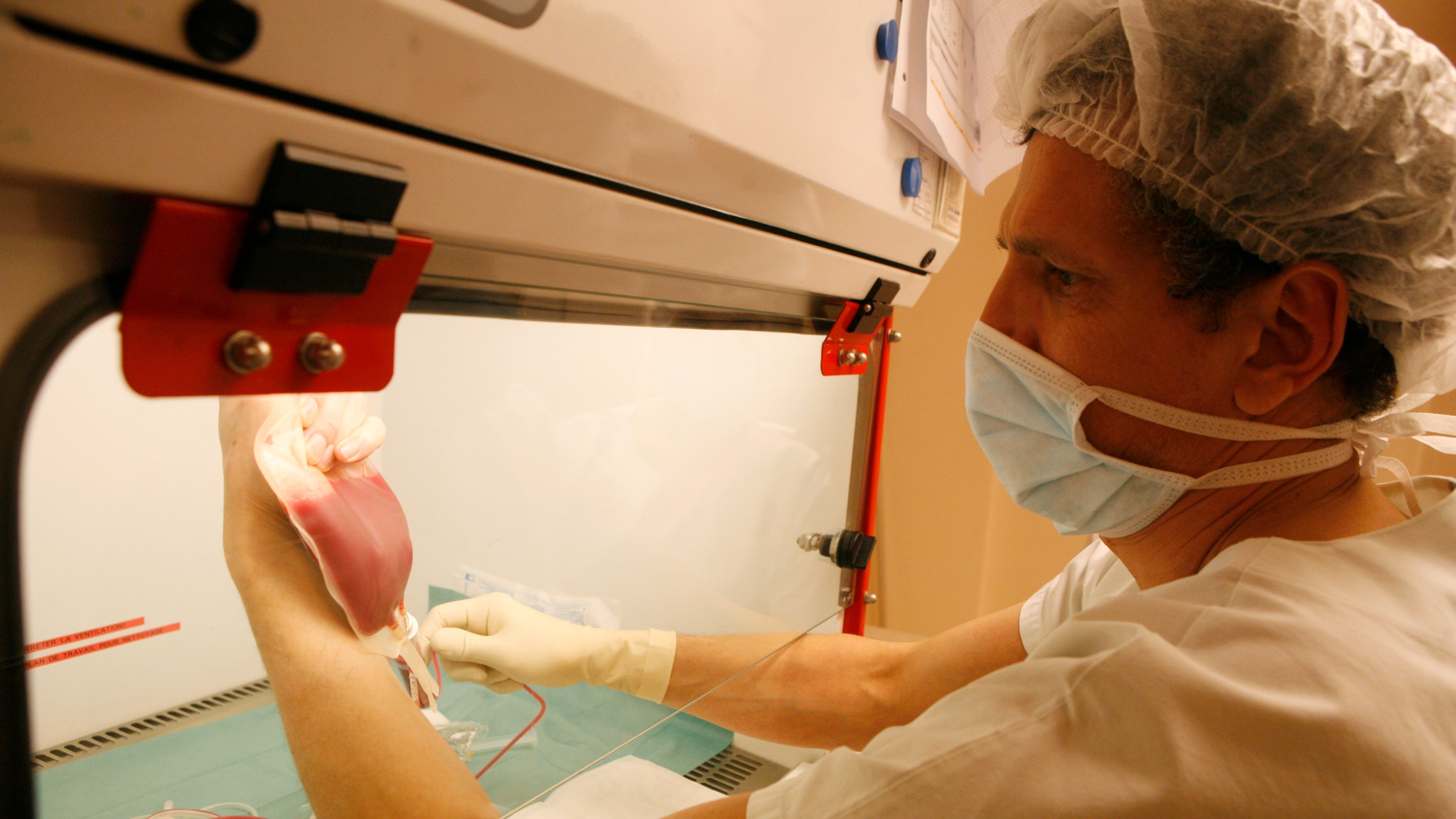 Male Nurse Preparing Cell Graft