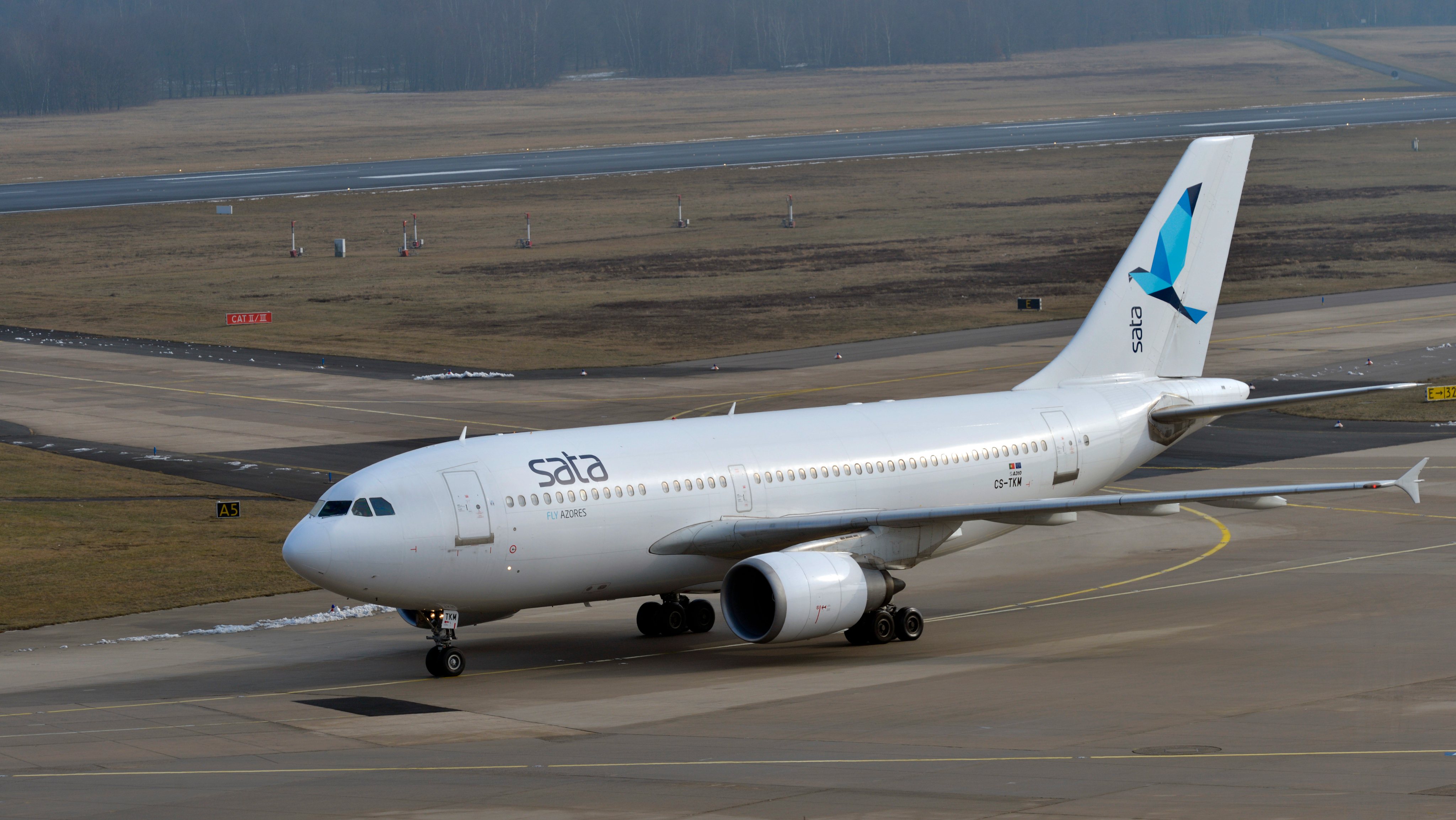Airplane SATA AIRBUS A310