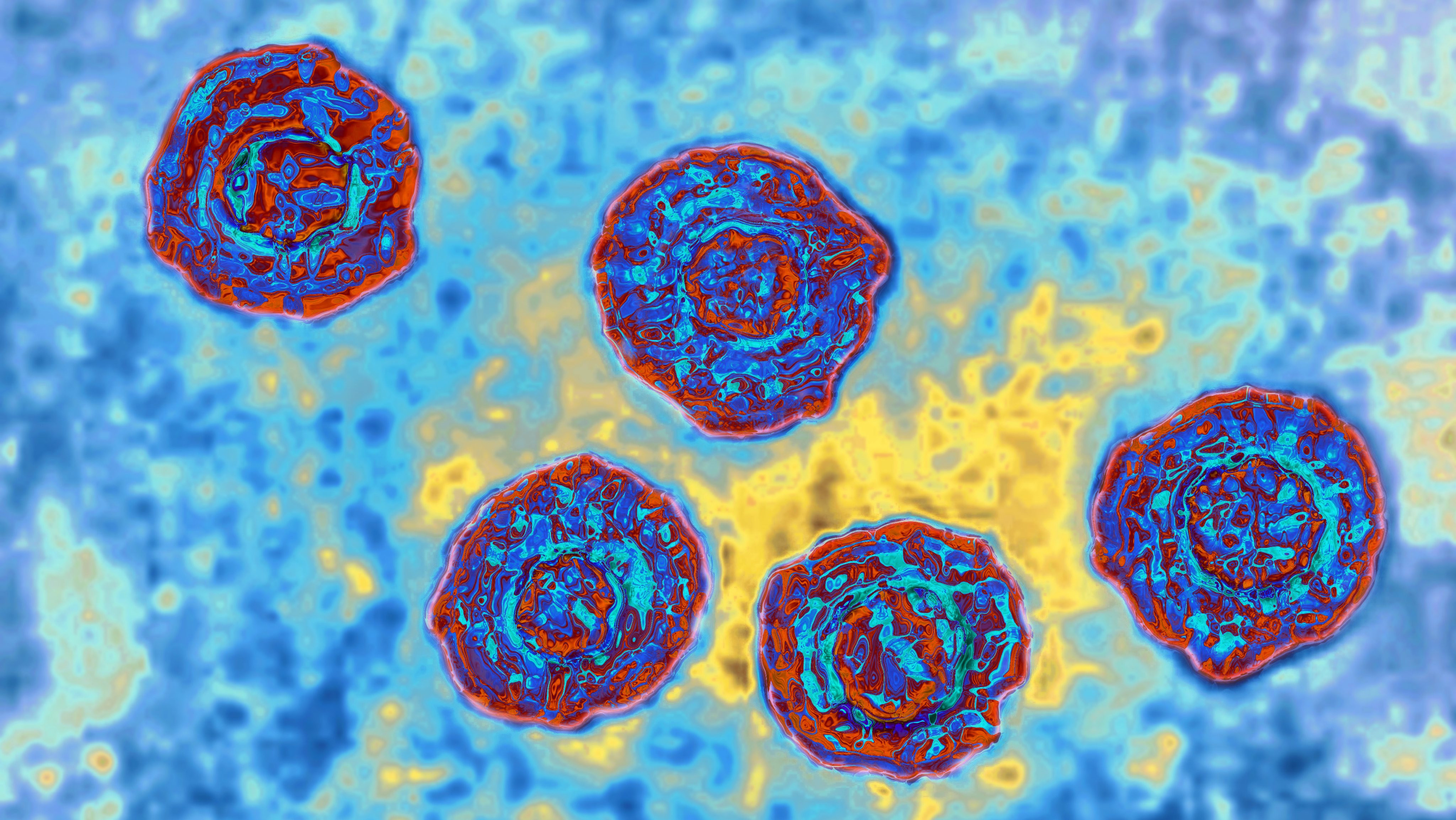 Vírus da Hepatite C