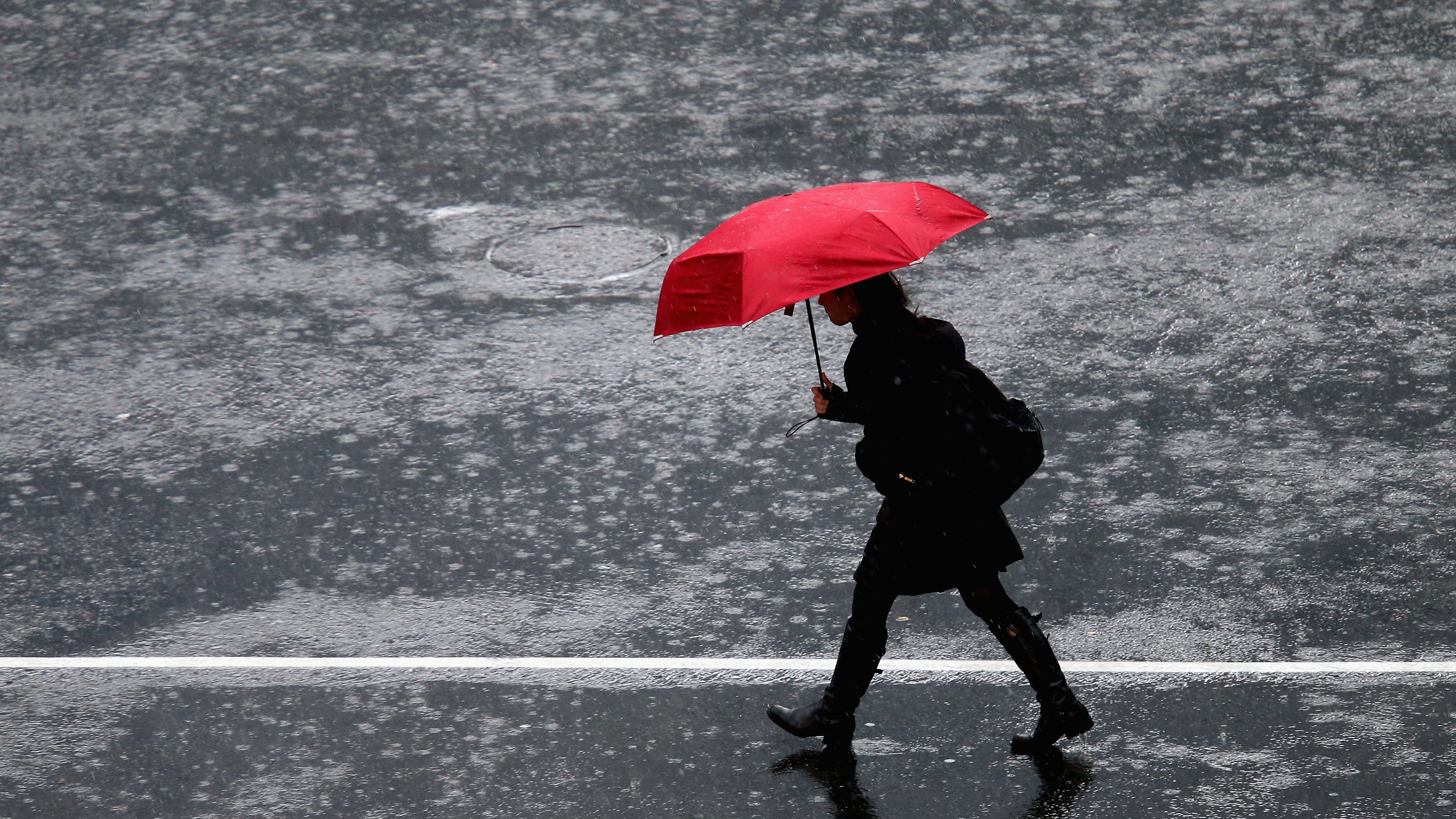 Wet Weather Continues In Auckland