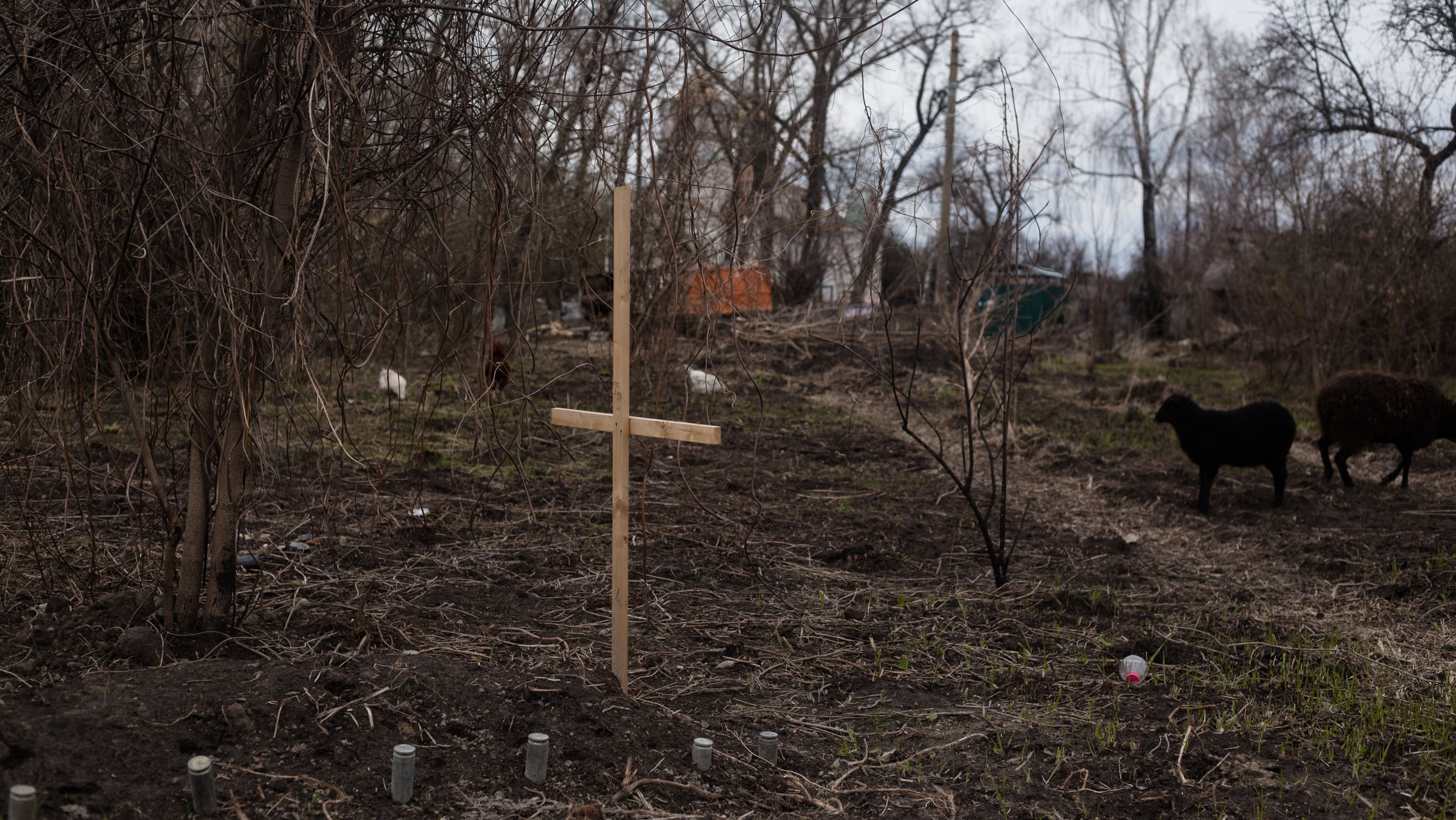 Amid Heavy Damage, Ukrainian Chernihiv Area Freed From Russian Control
